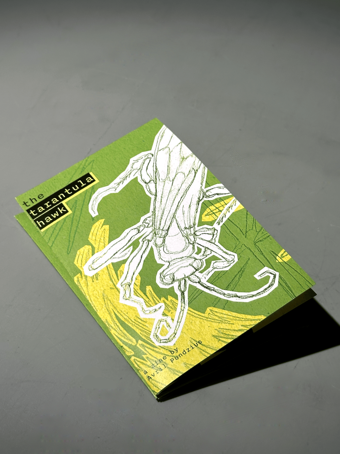 The Tarantula Hawk: an Informational Zine