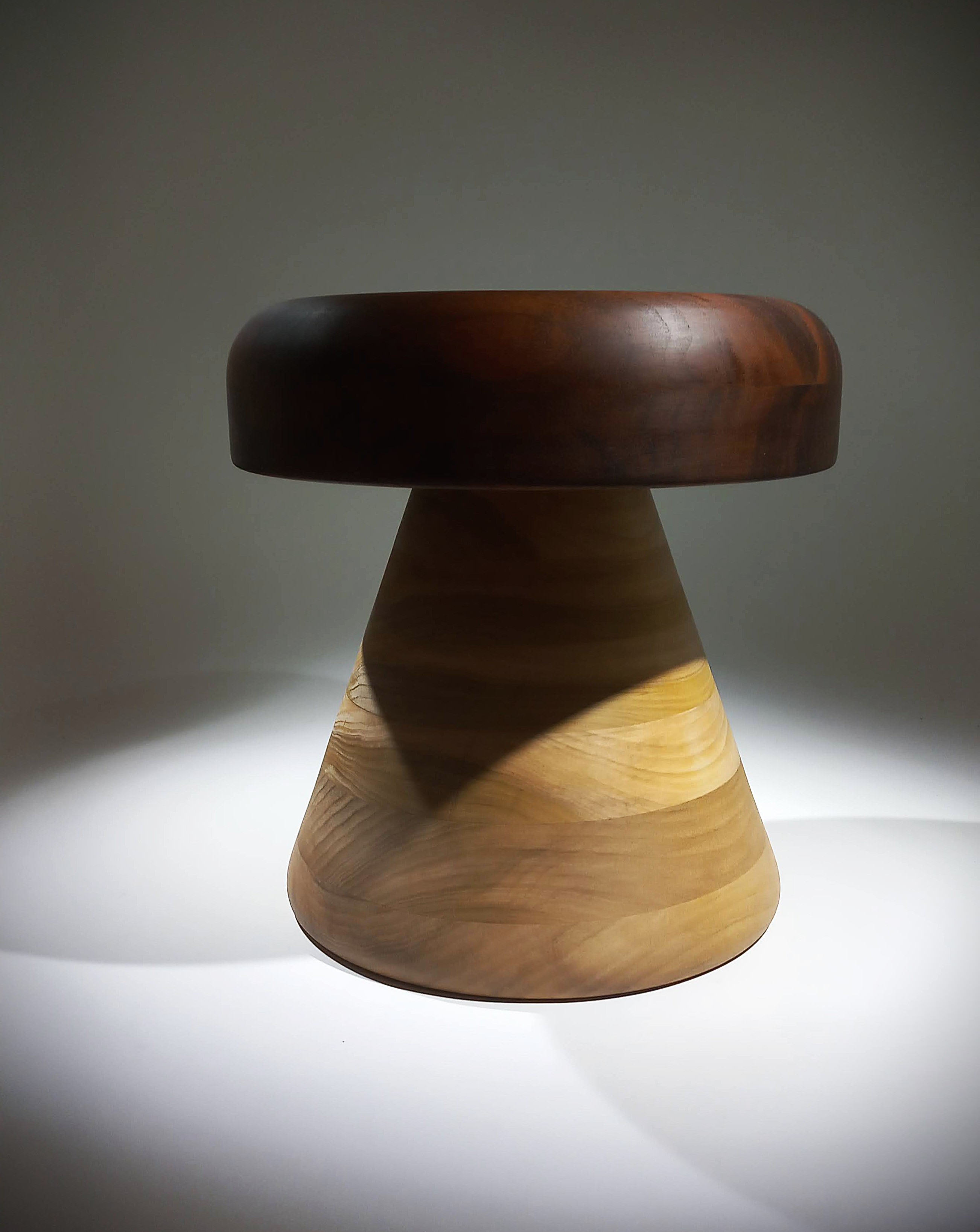 The Mushroom Stool