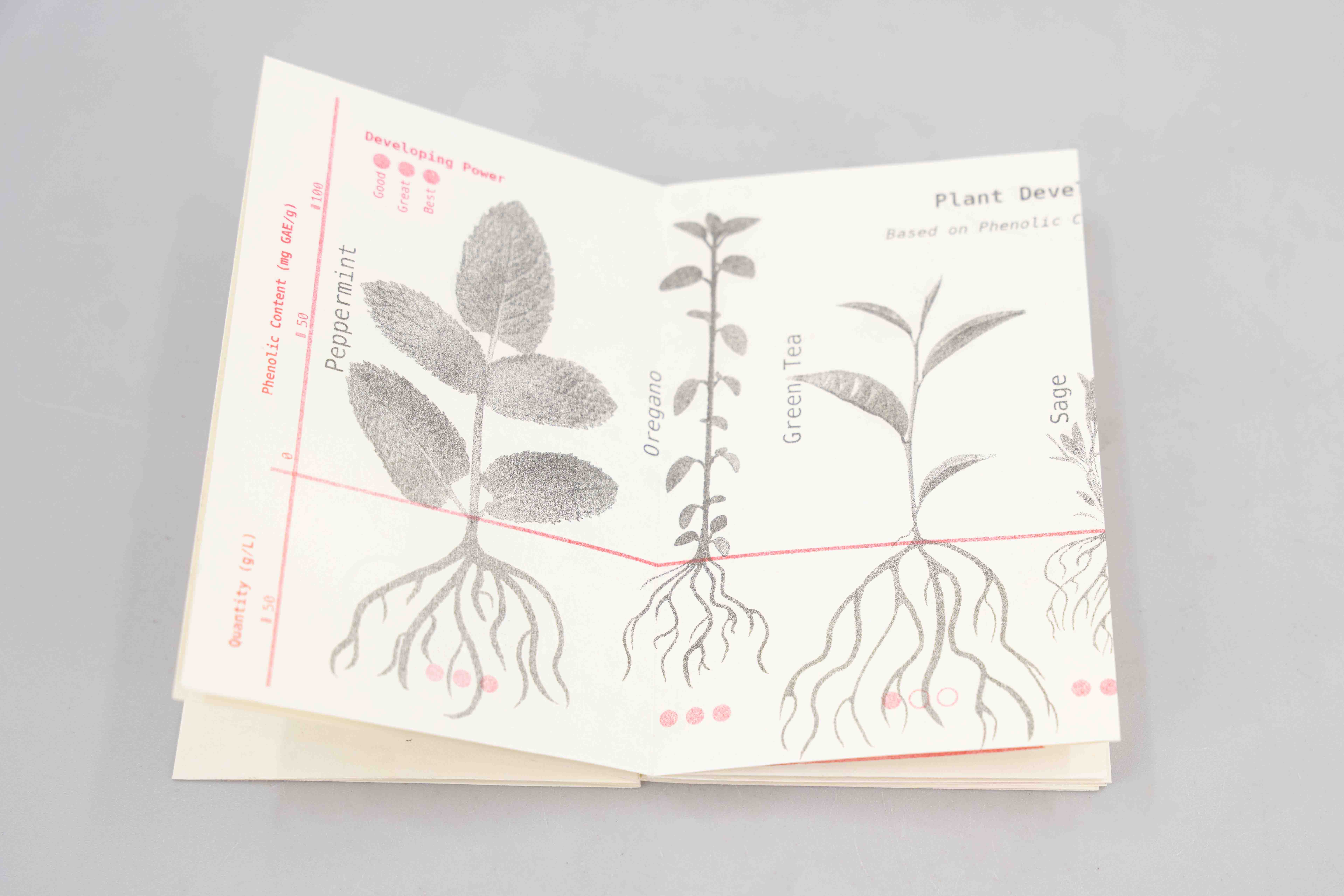 How to Develop Film With Plants