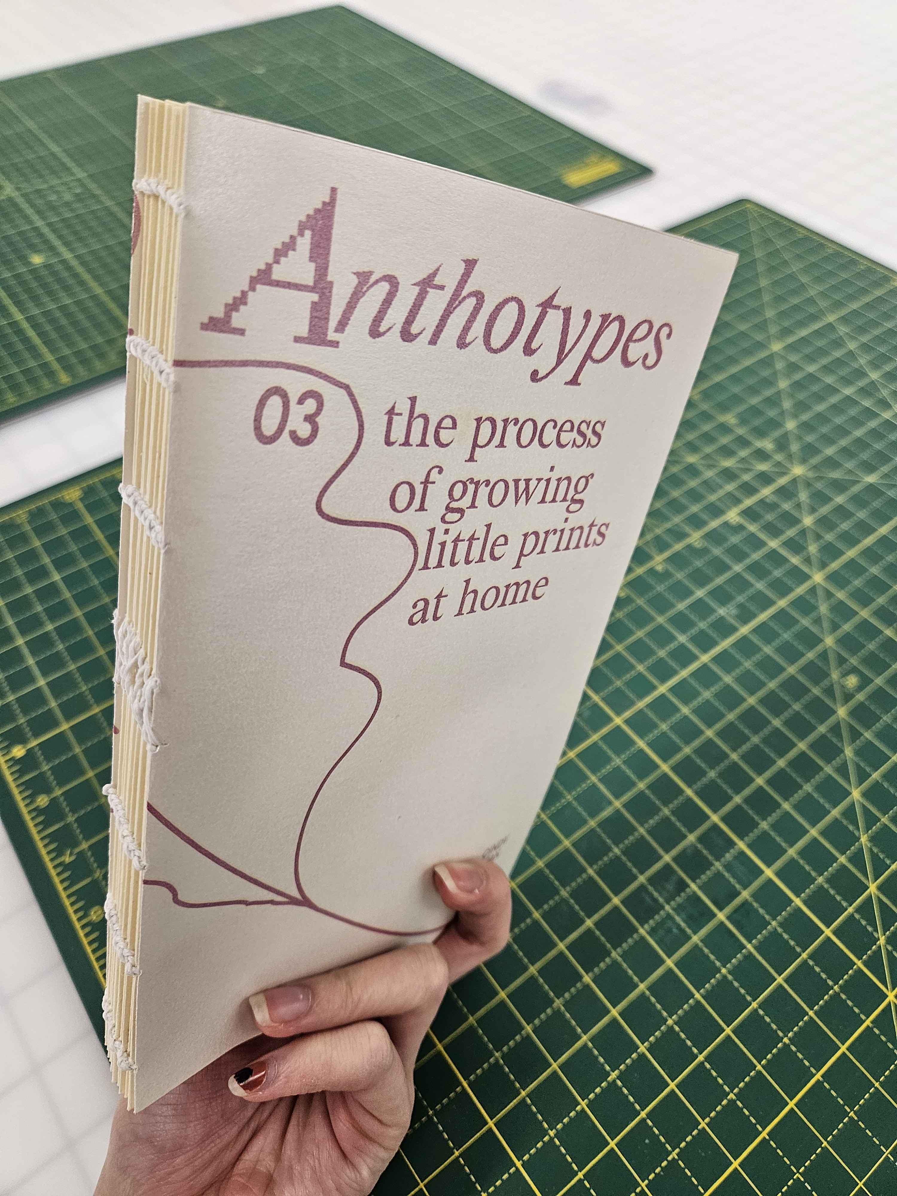 Anthotypes: The Process Growing Little Prints at Home