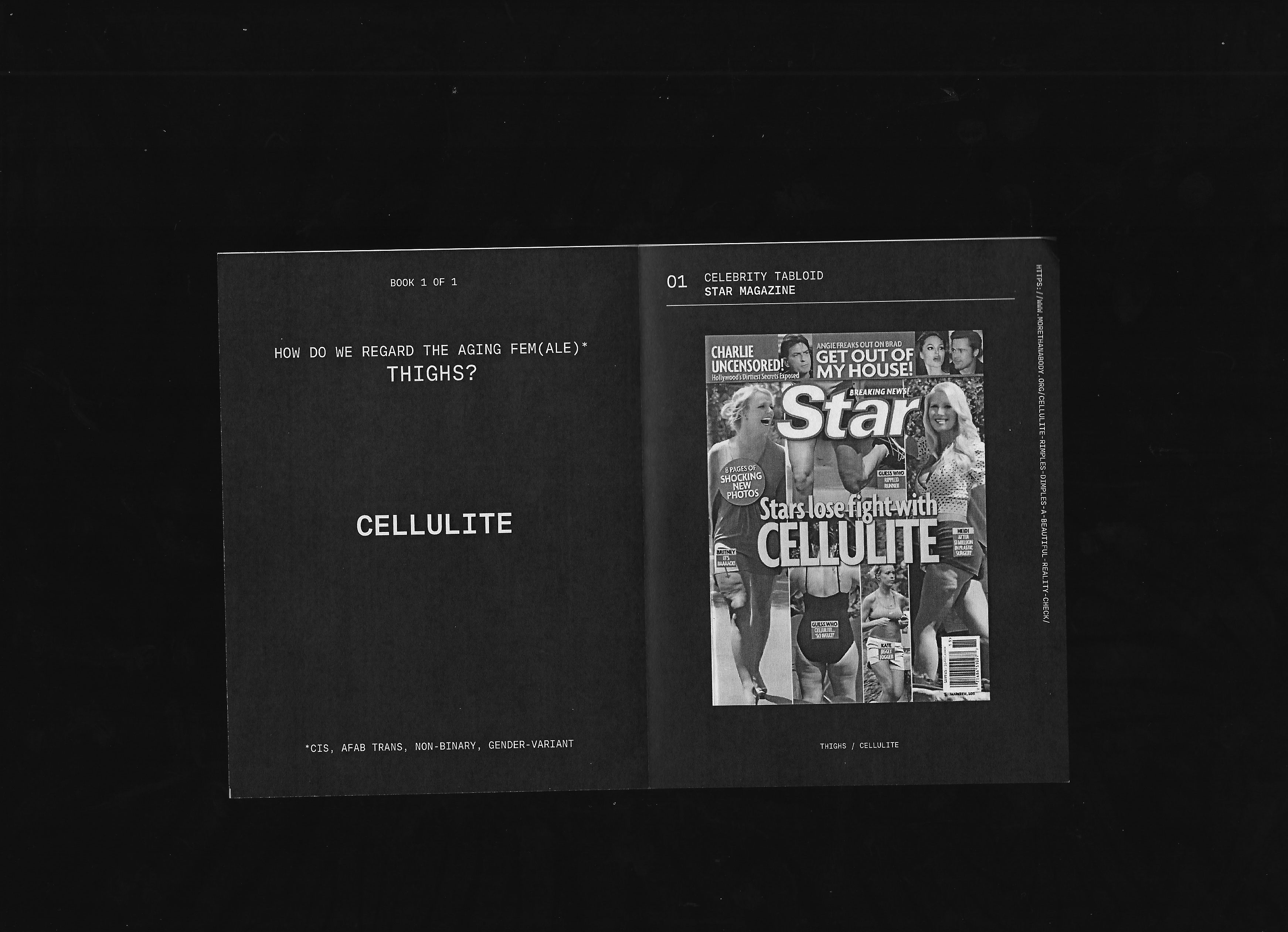 Regarding The Aging Female