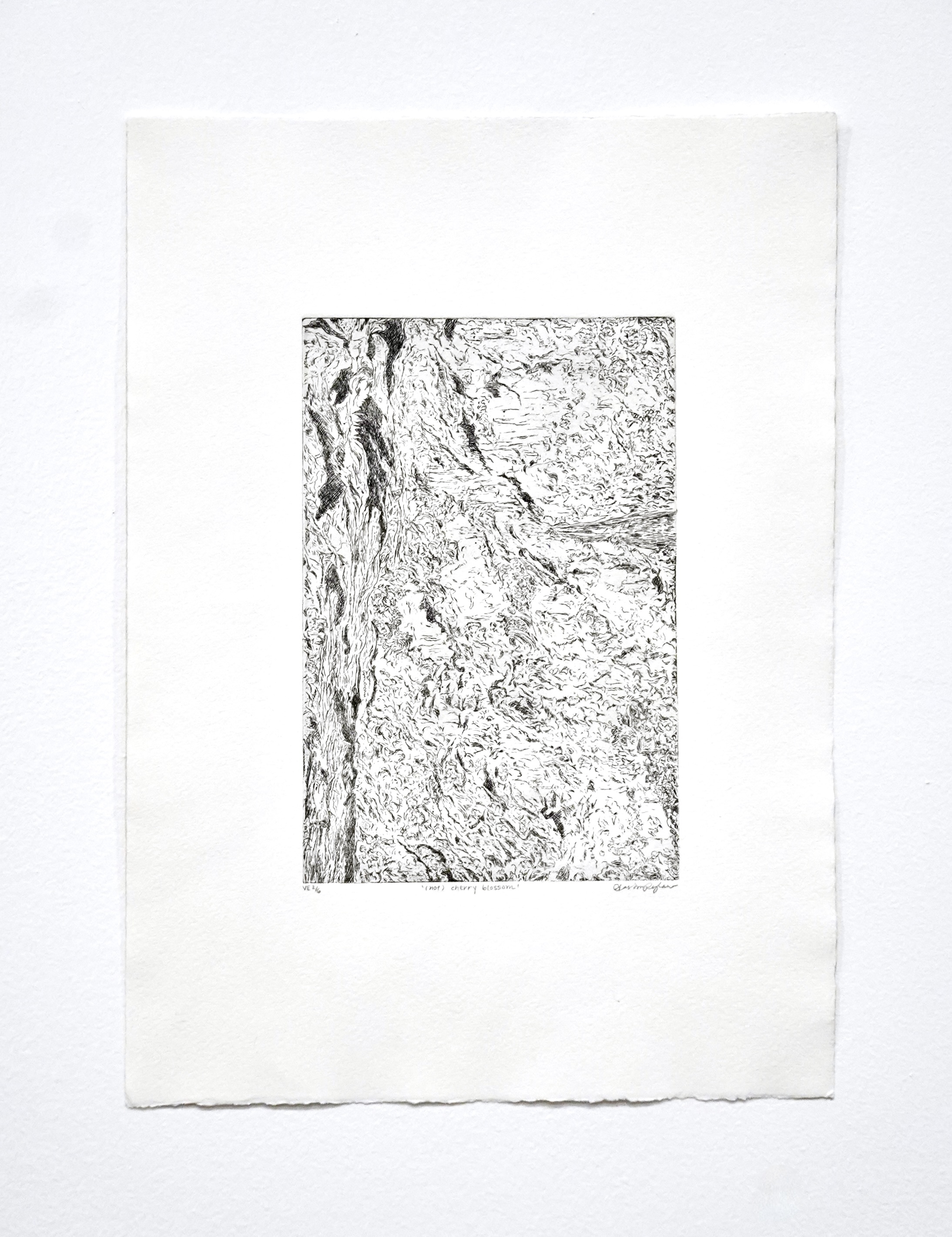 not cherry blossom 1 & 2