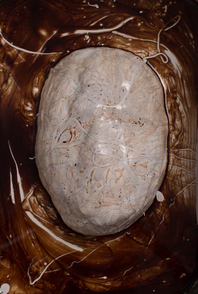 Bacterium Metamorphose