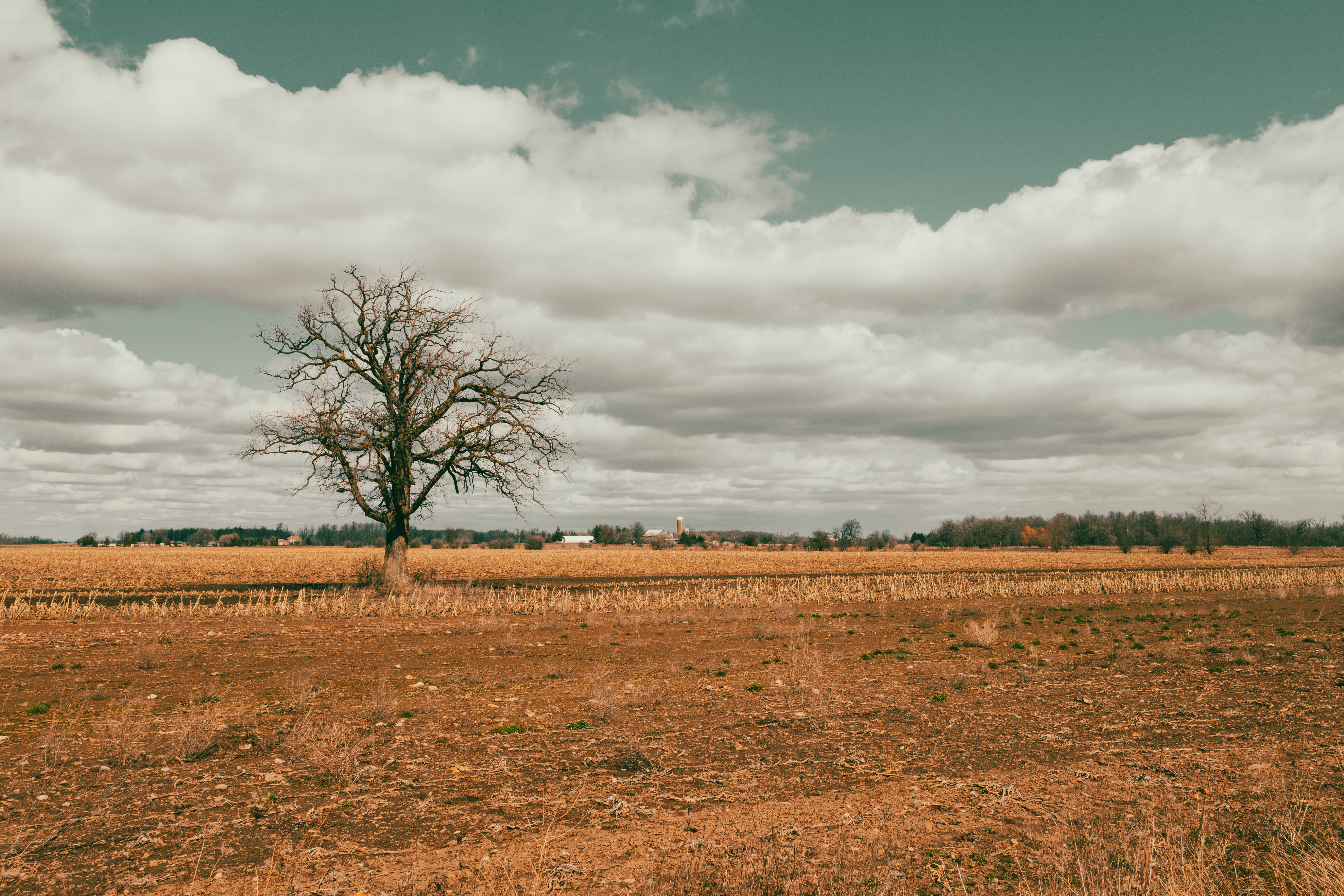 Landscape