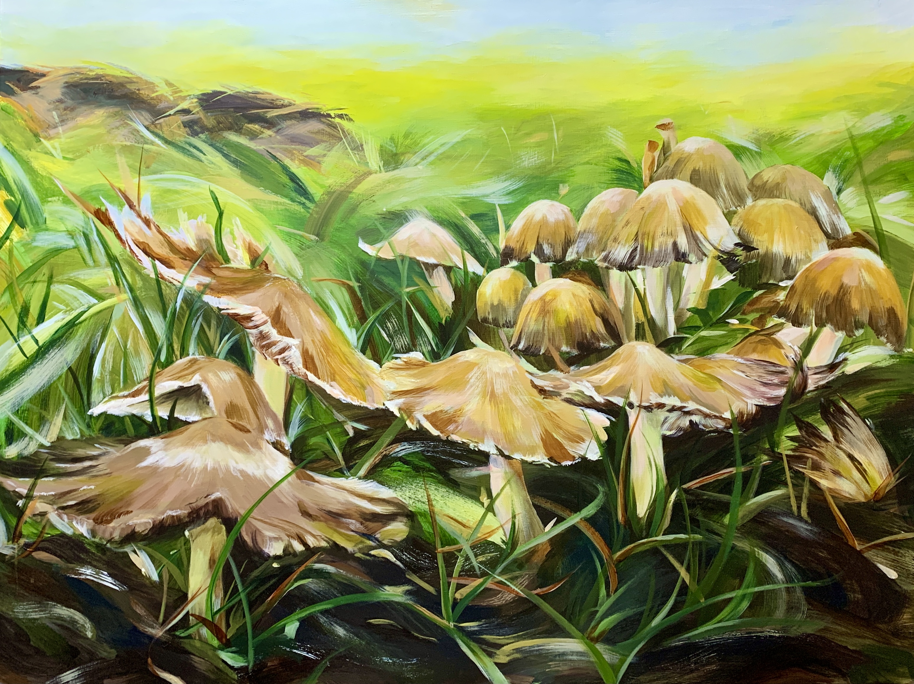 Nature's Gestures - Mushrooms Series