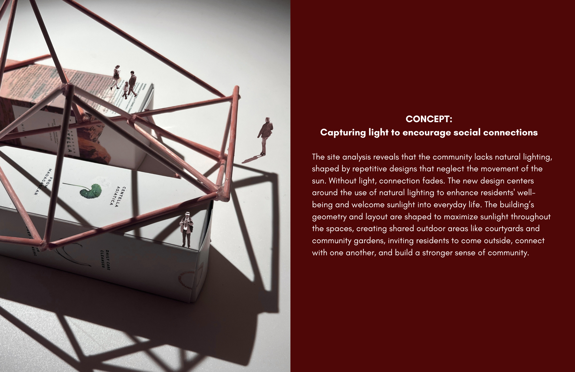 Interconnected Living