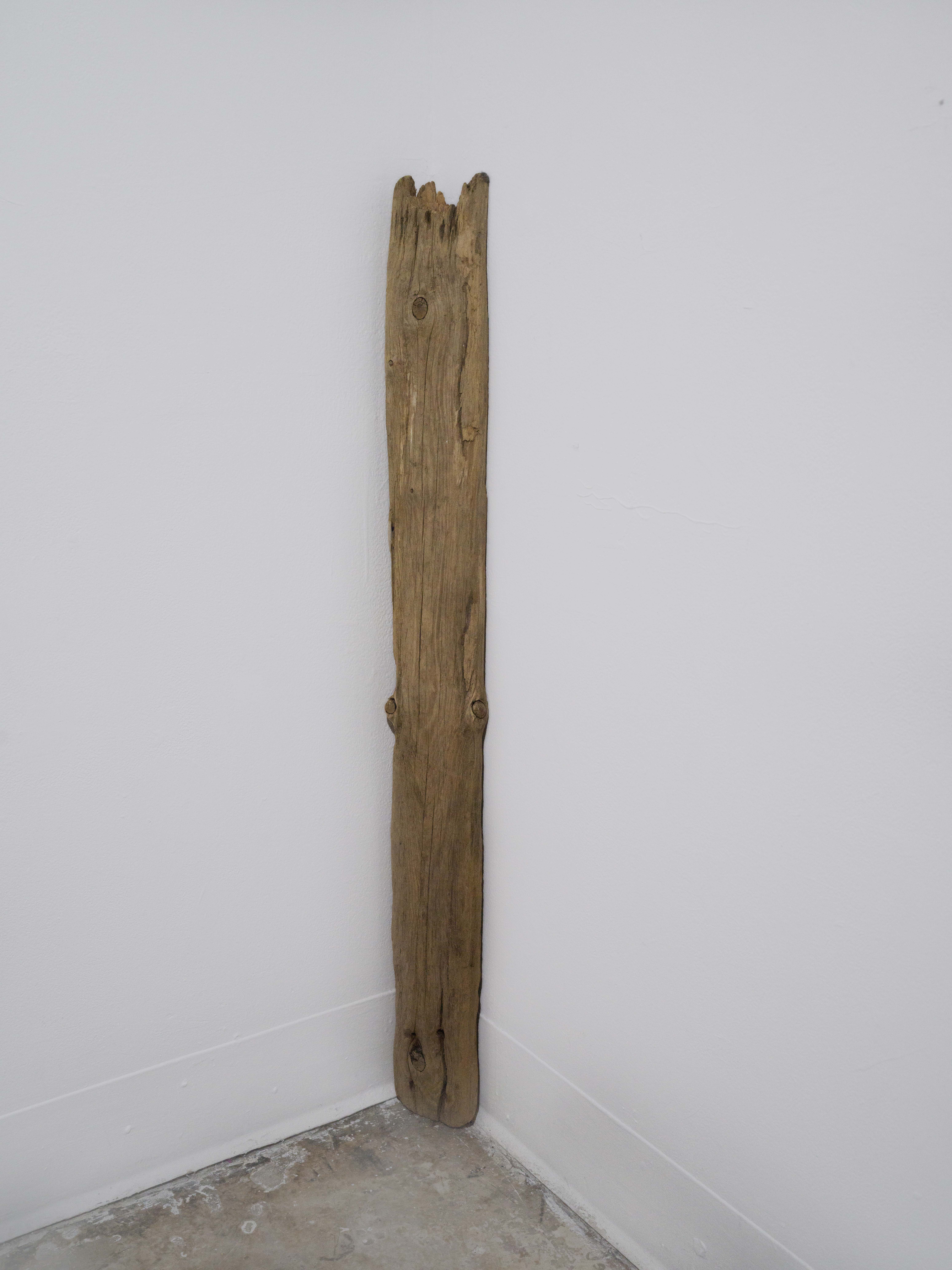 a river waiting for falling pears