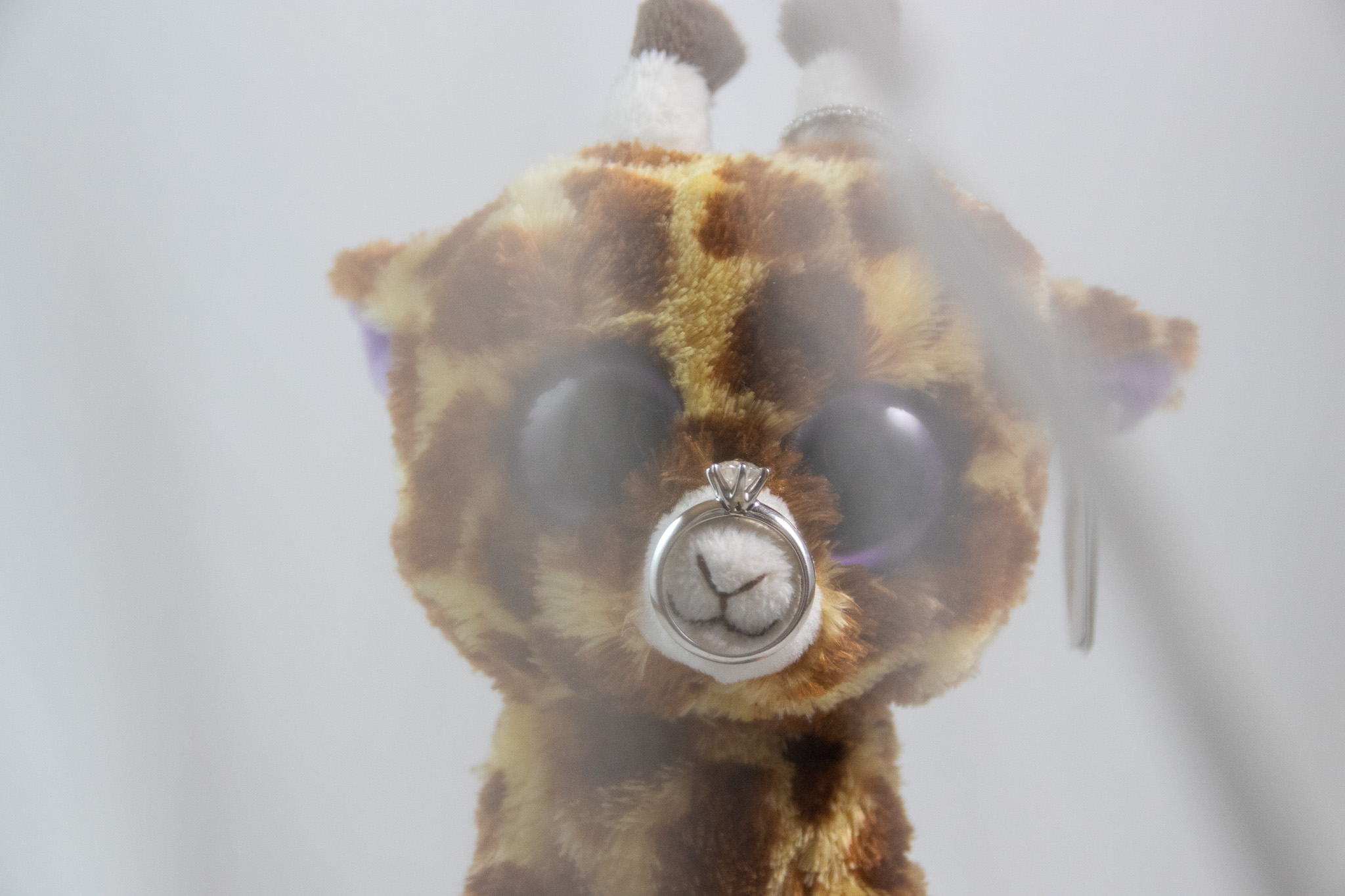 Simple Life, Simple Love