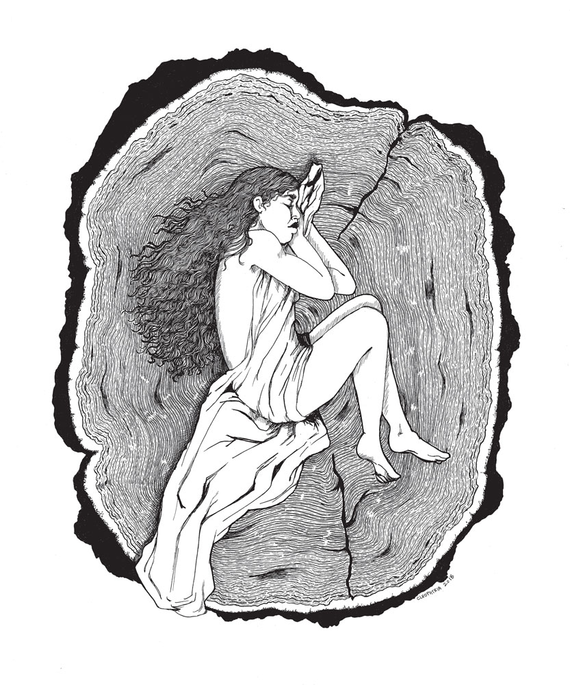 Pen & Ink Collection