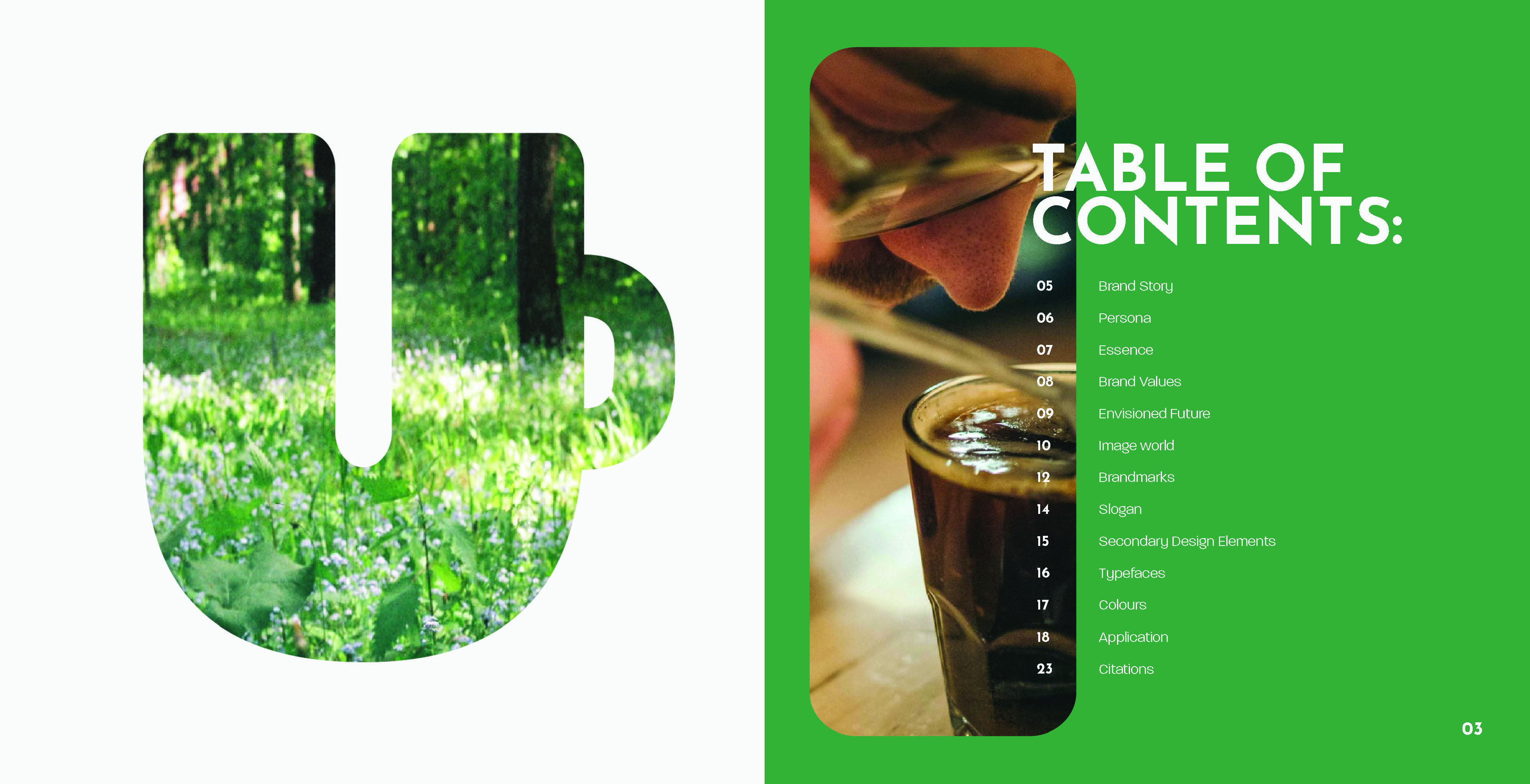 Capsulier Brand Book