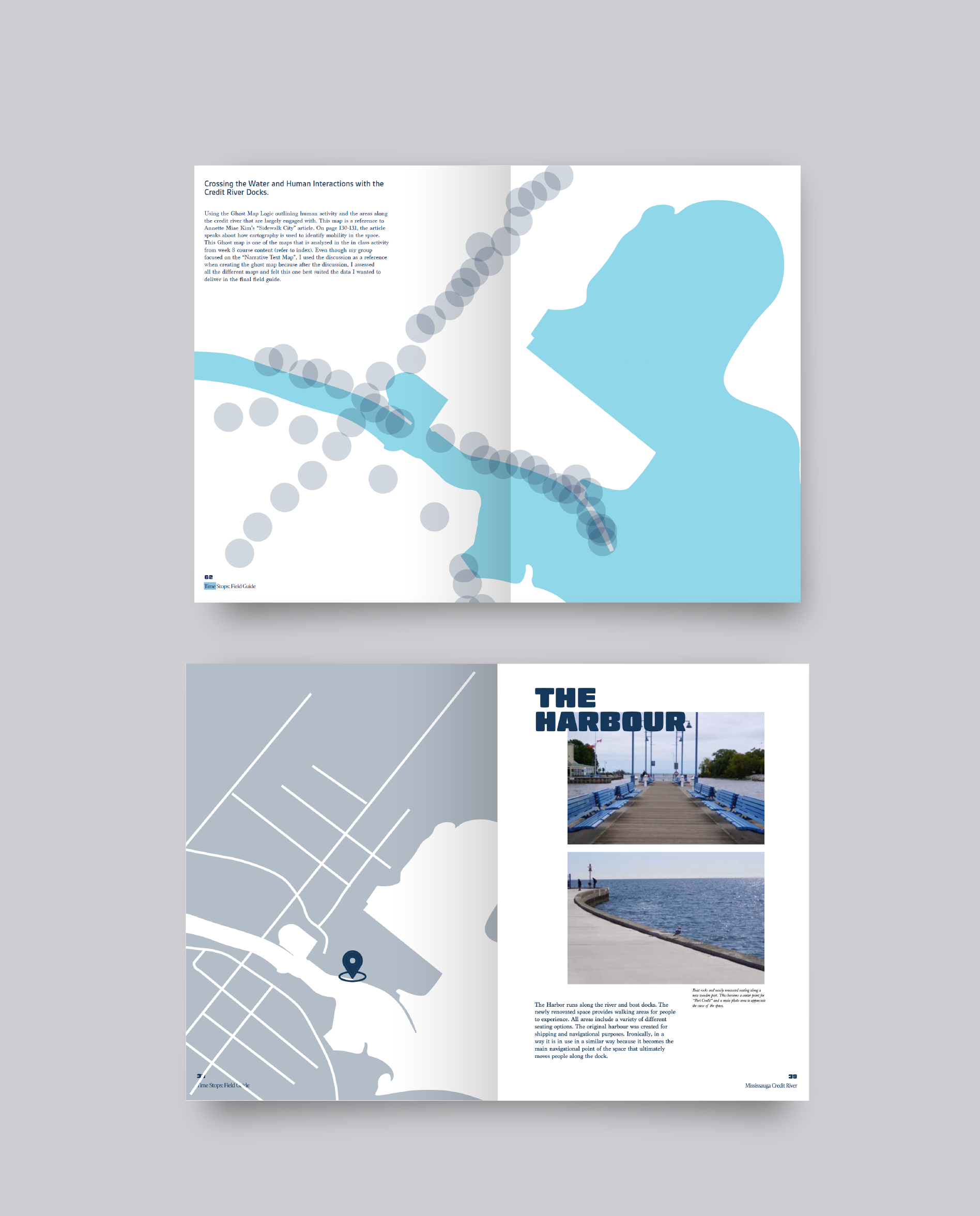 Mississauga Credit River Feild Guide