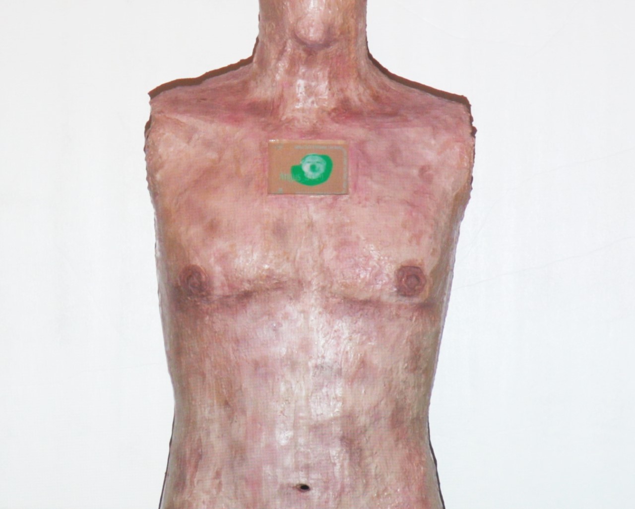 Online Rampant Insect