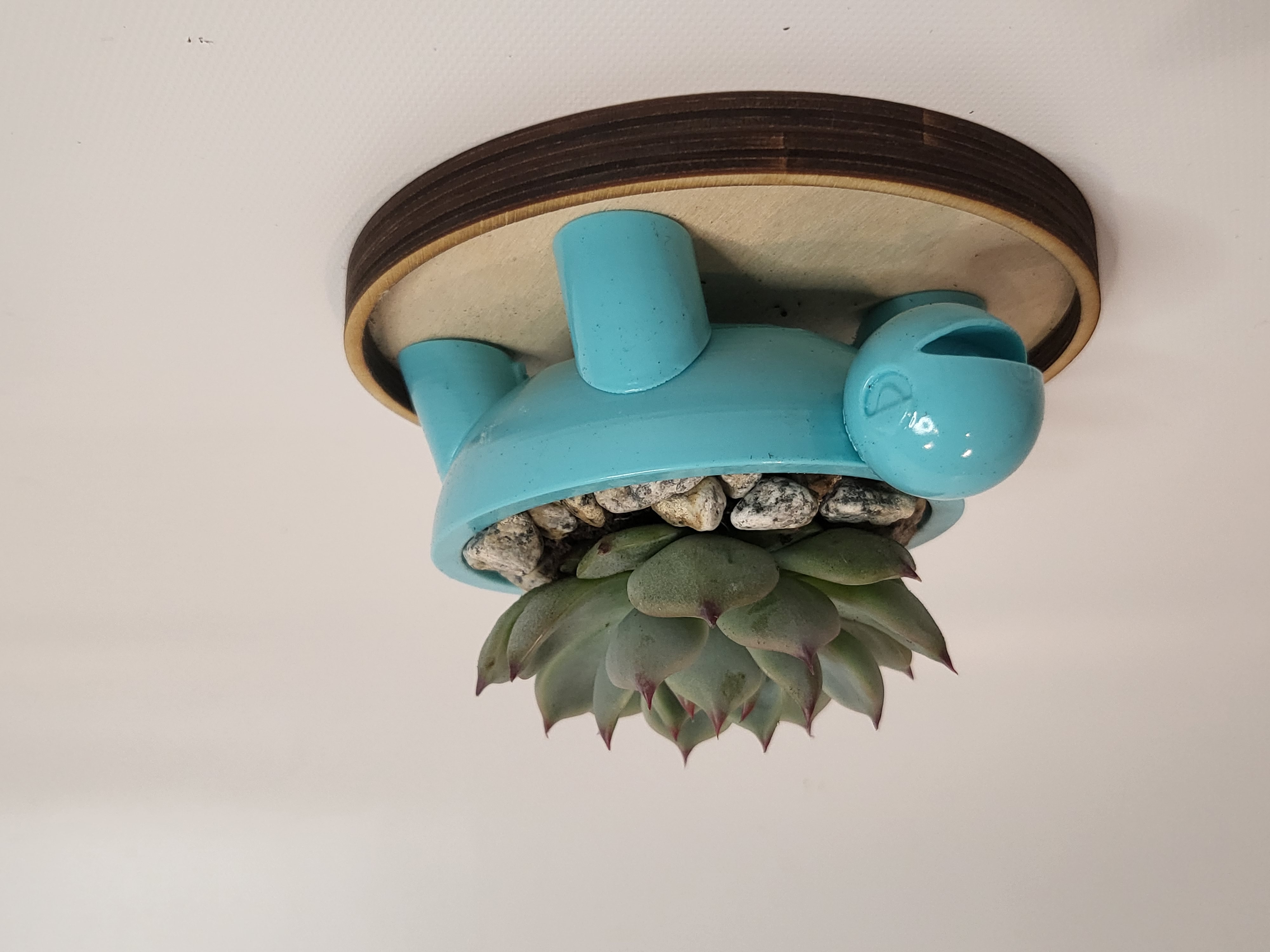 Terra Succulent Planter