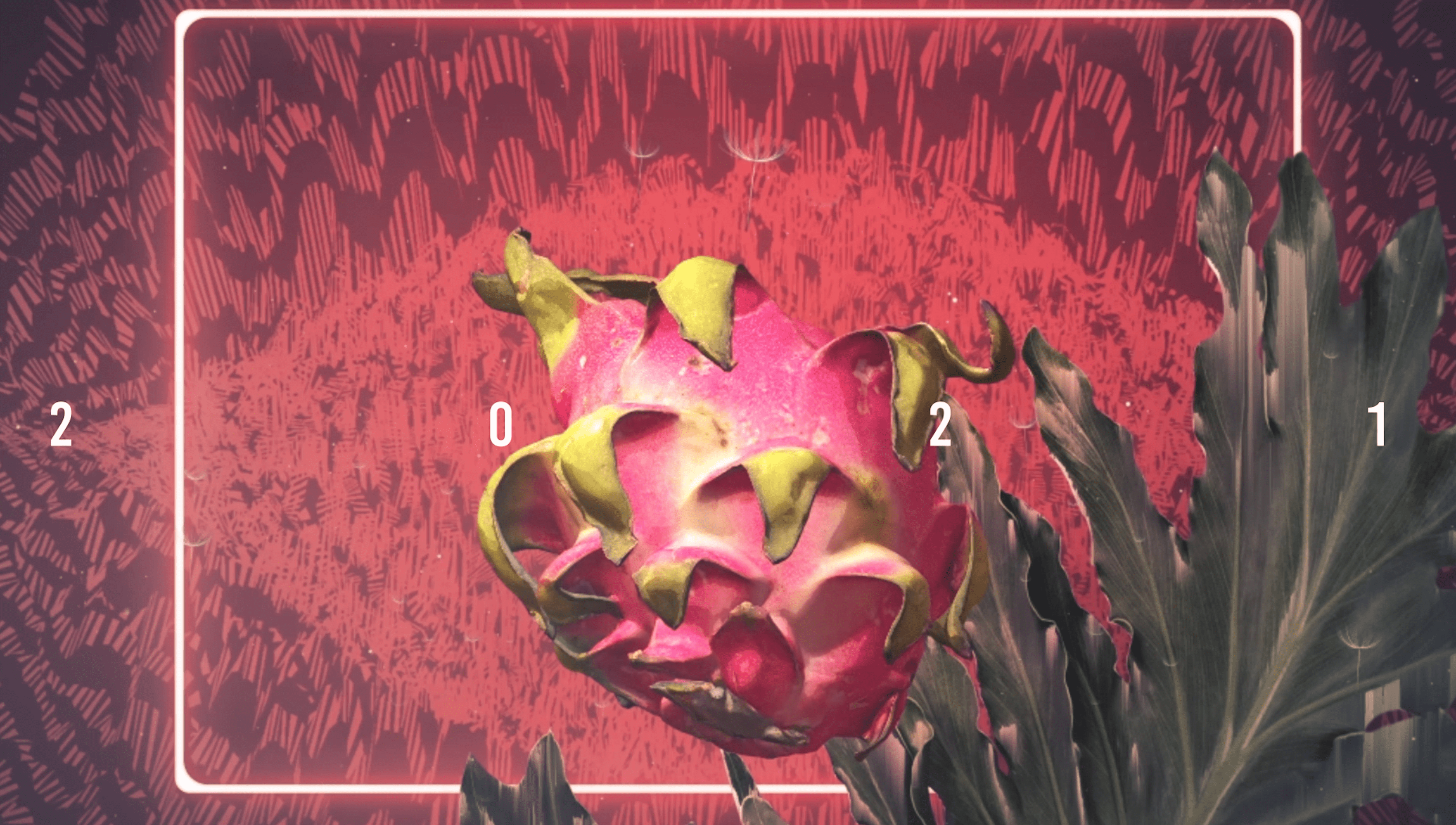 Motion Reel 2020 - 2021