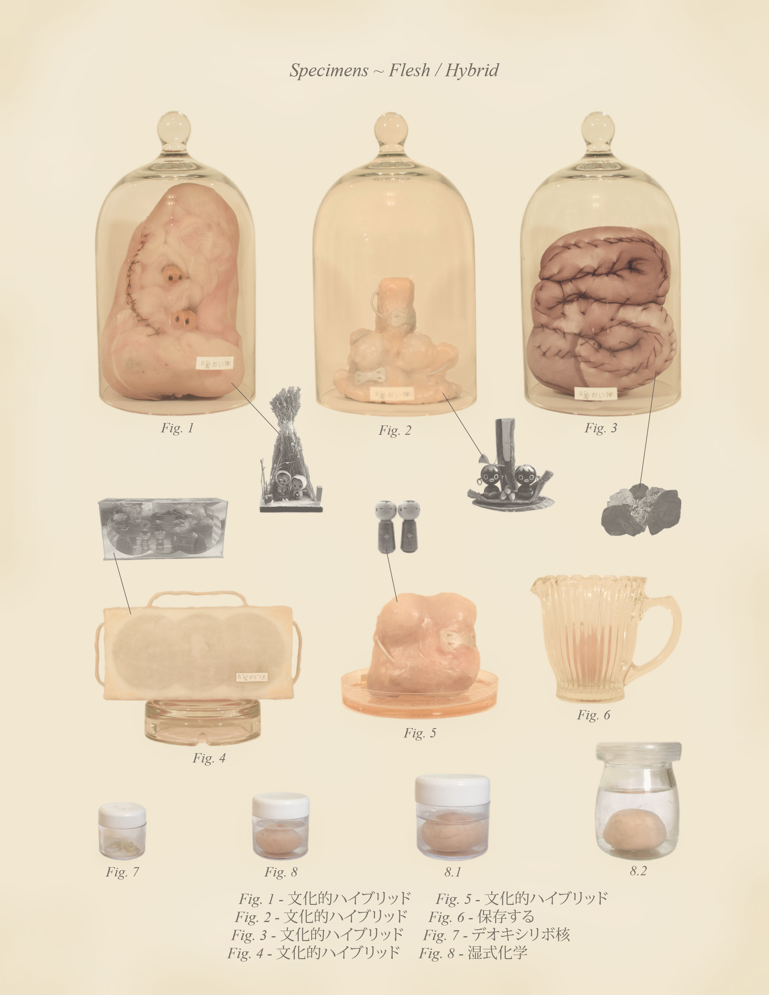 Warm Bodies, Ghostly Specimens, Stoic Machines | 4