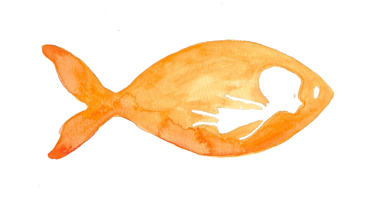 Behind The Scenes - Freshwater