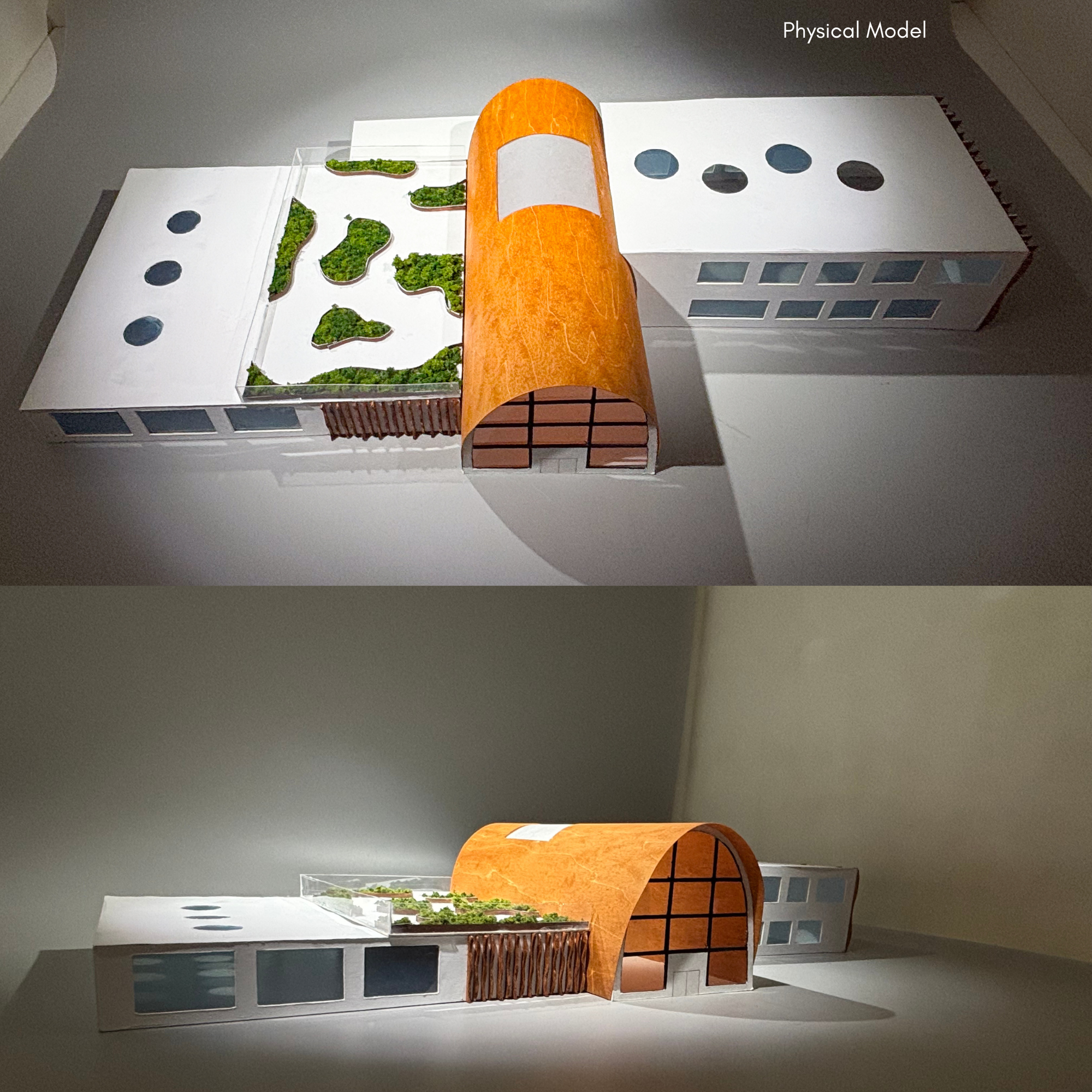 NaturalSync Wellness