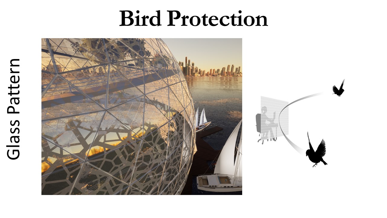 Toronto's Floating Gardens