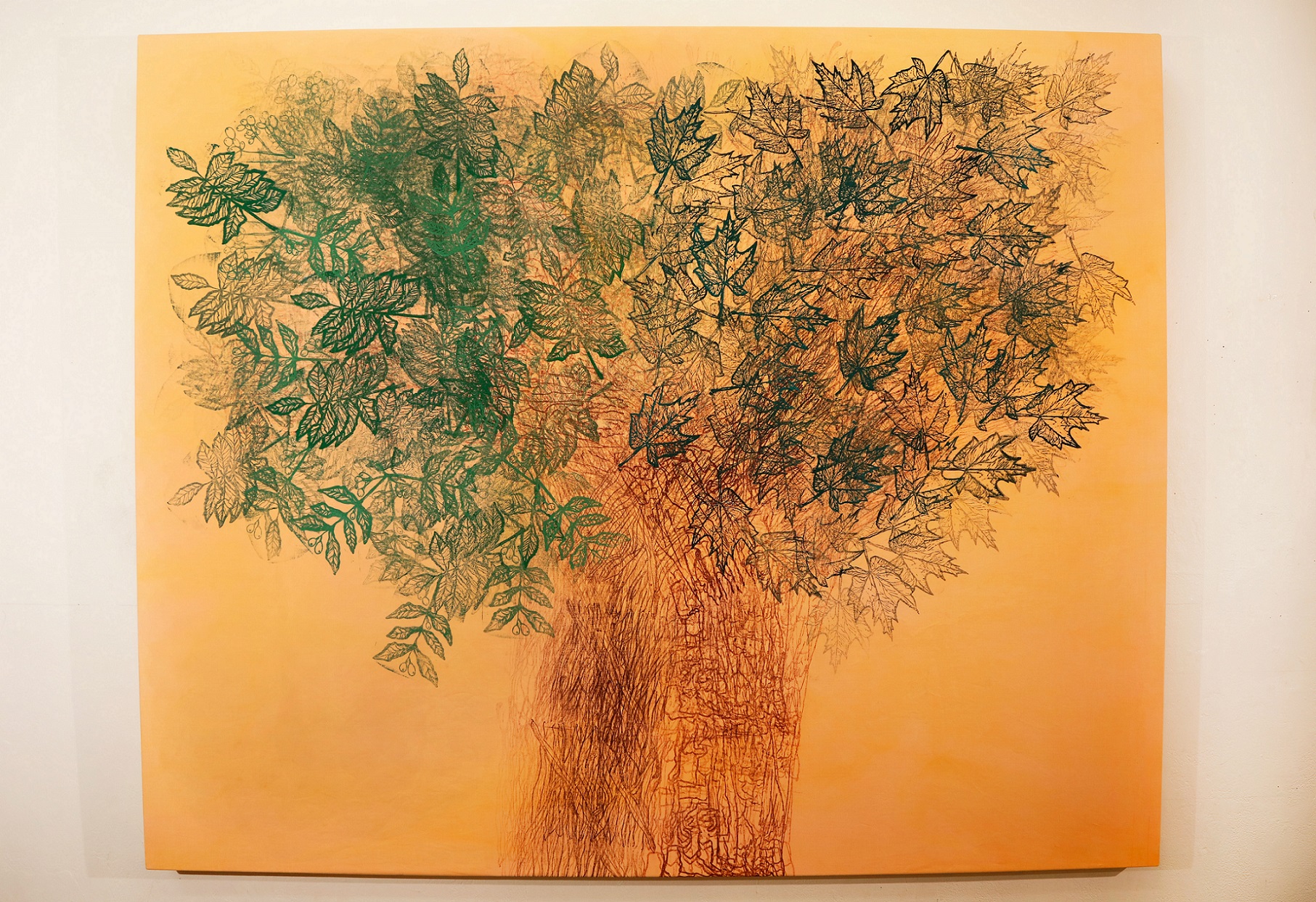 Madhuban (GradEx 107)