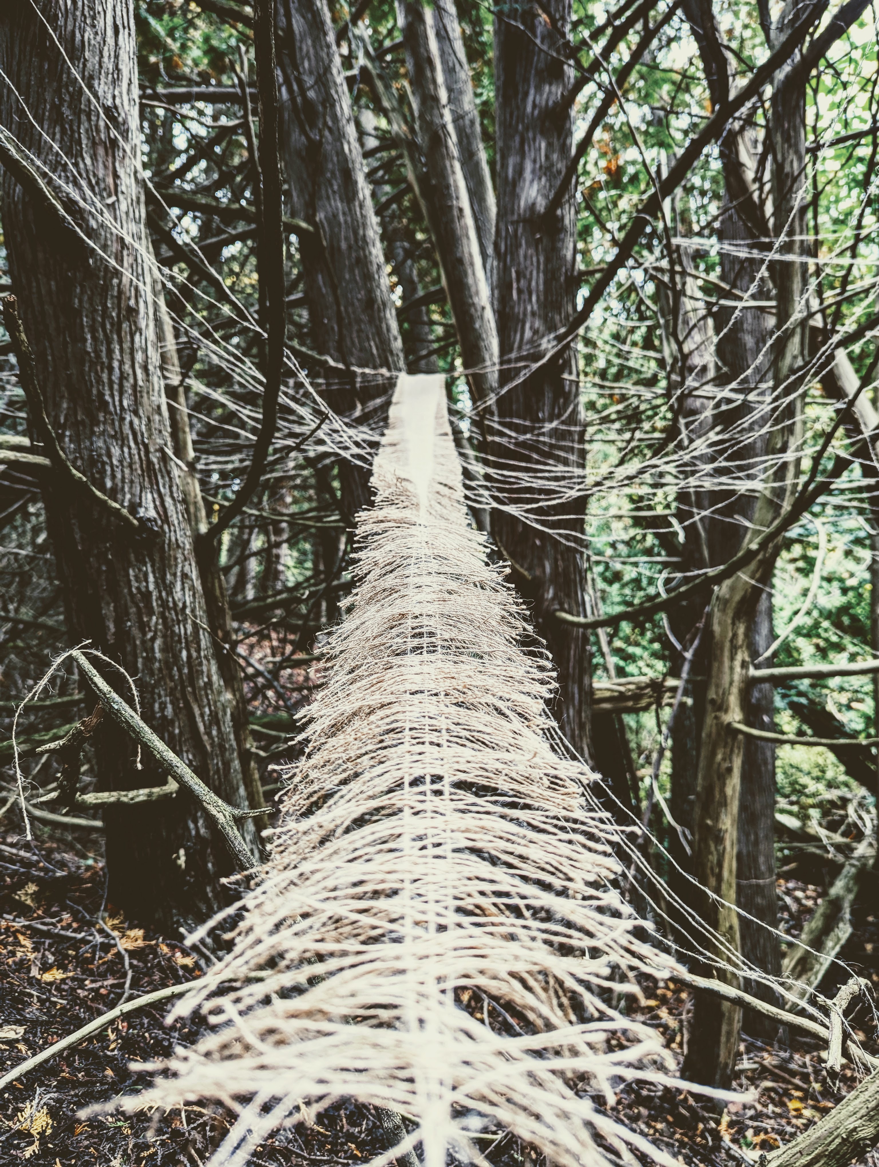 Pulling at the Threads of History