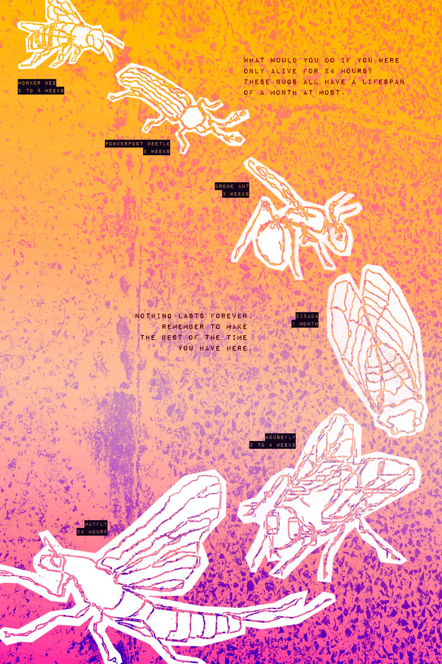 Nothing Lasts Forever