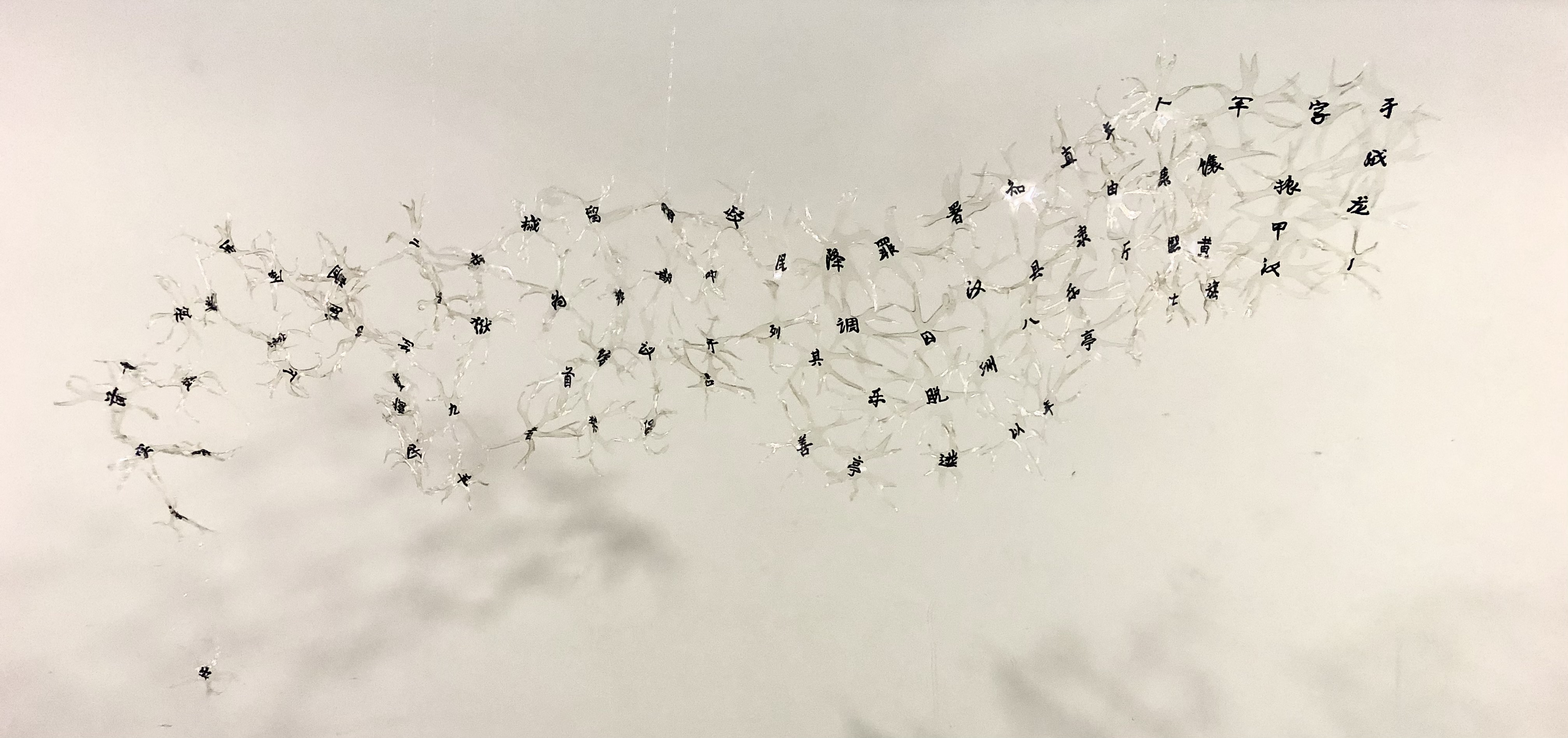 缅怀 (in memoriam)