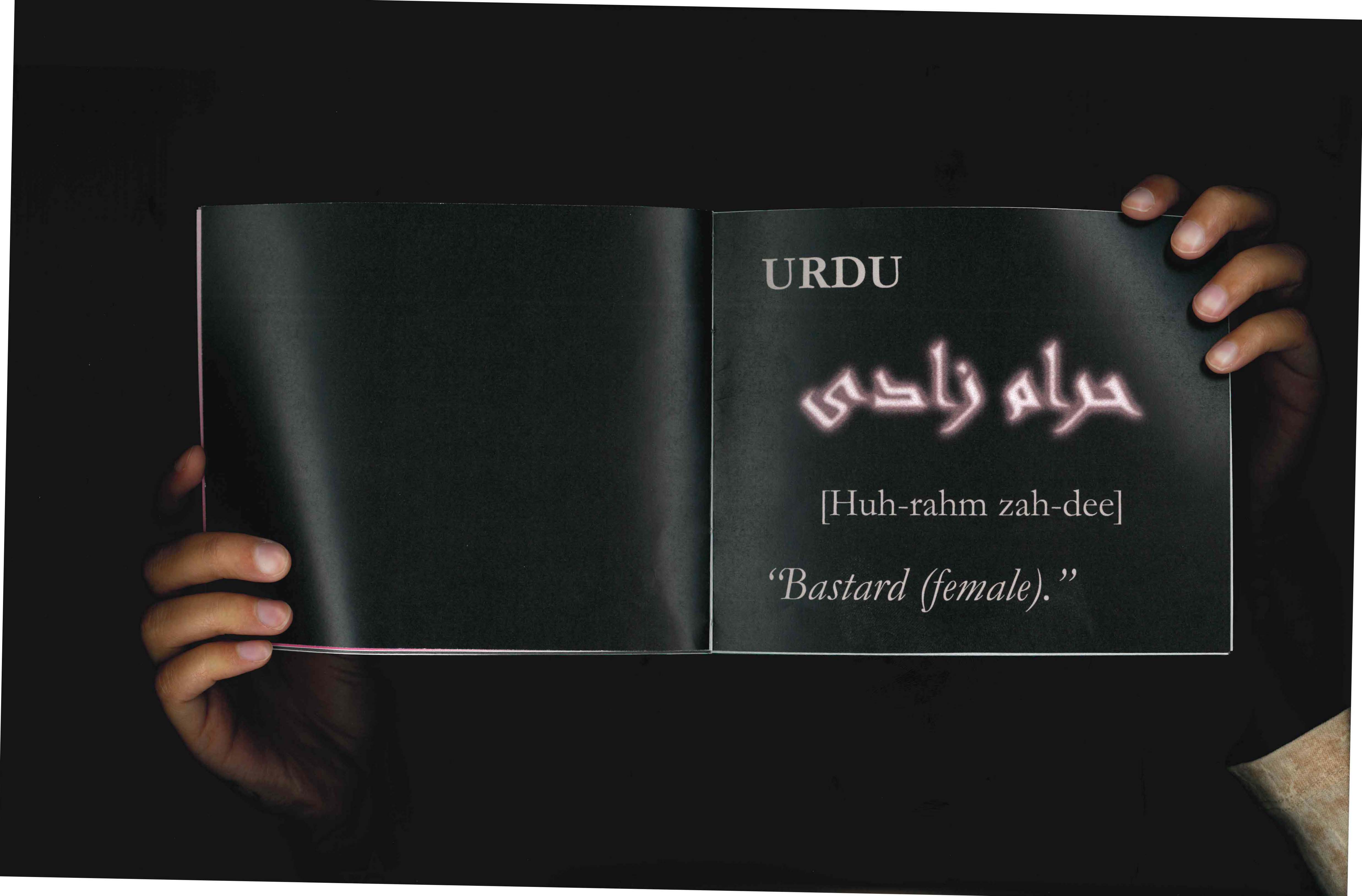 Third Culture Dictionary