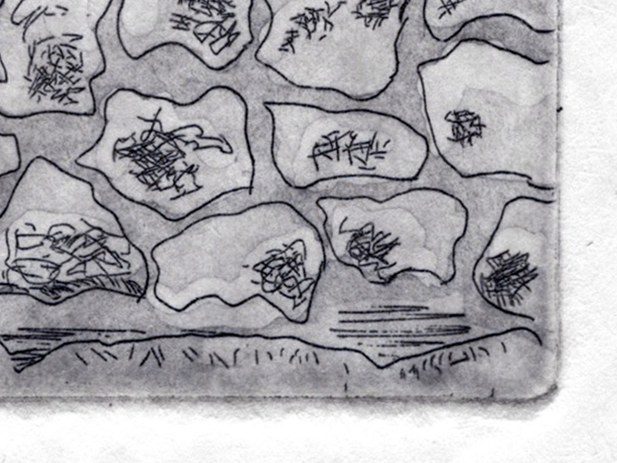 DETAIL : postcard | Esker Lakes Provincial Park; Kirkland Lake, ON