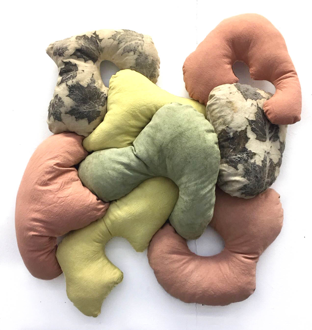 Untitled (Goldenrod, Sumac, Black-Eyed Susan, Apple Bark)