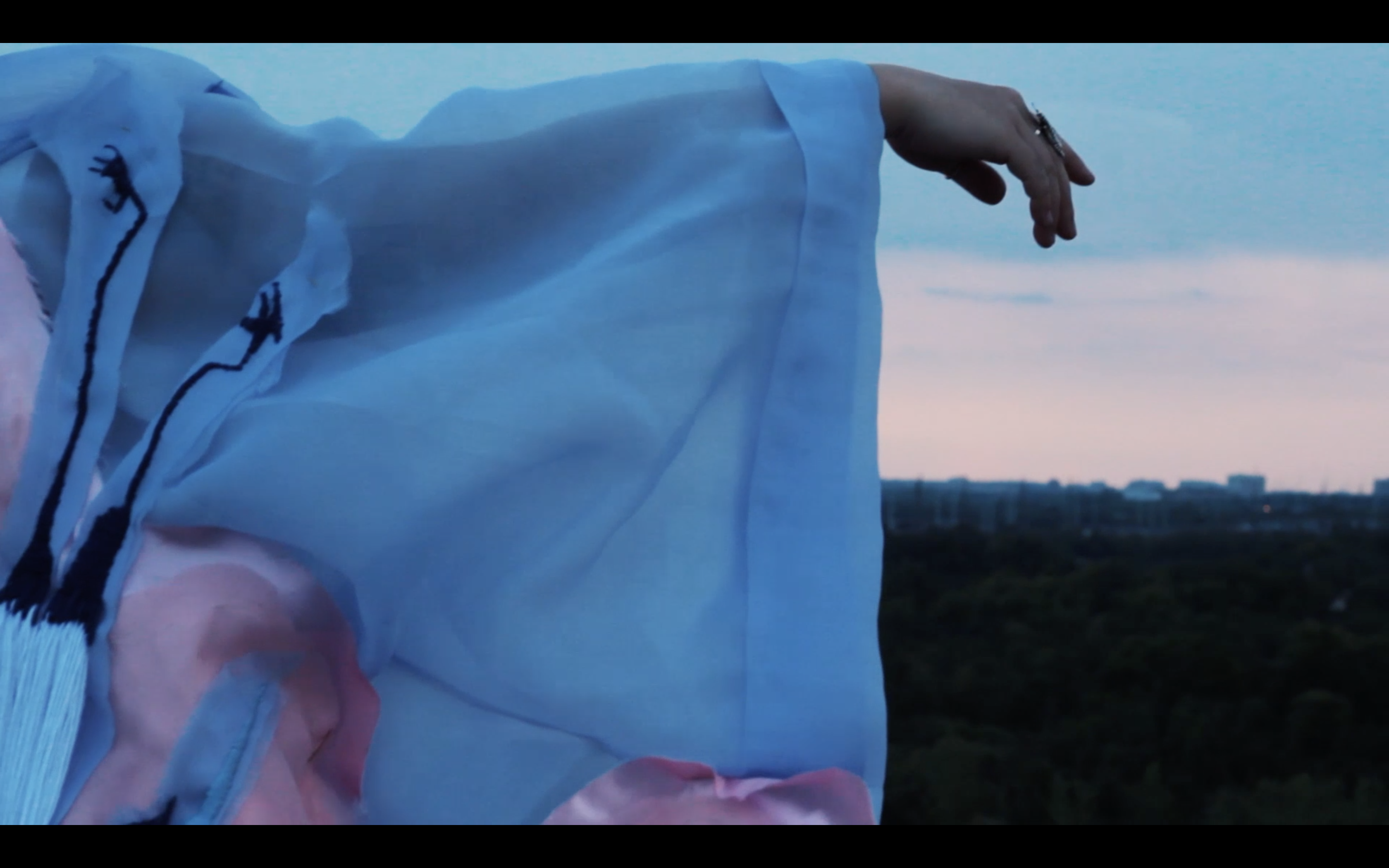 Until the Words Reach the Land