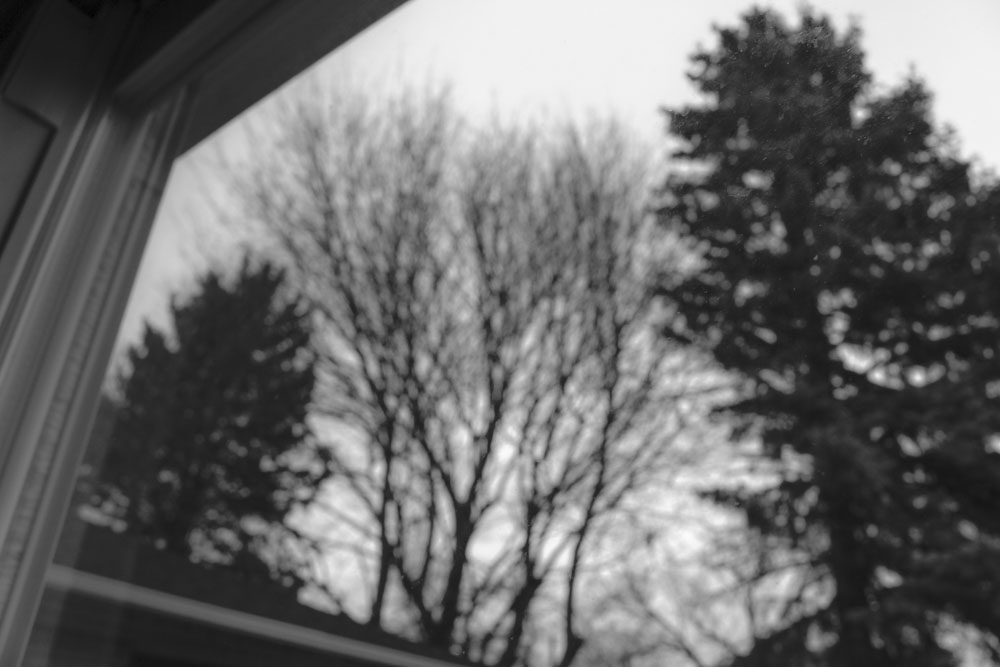 ▐  Without My Glasses ▐