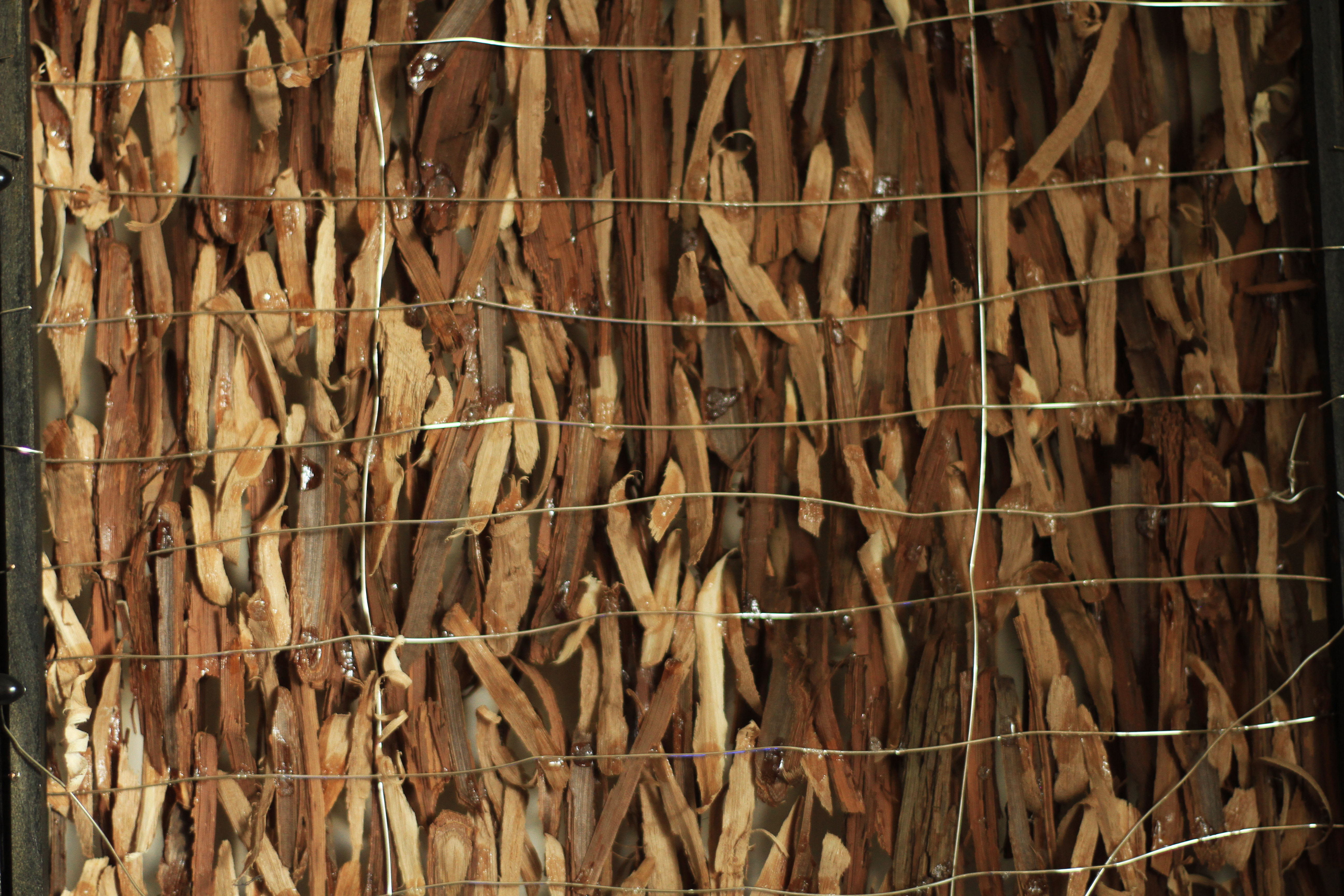 Containment, Reverse Side (Close-up)