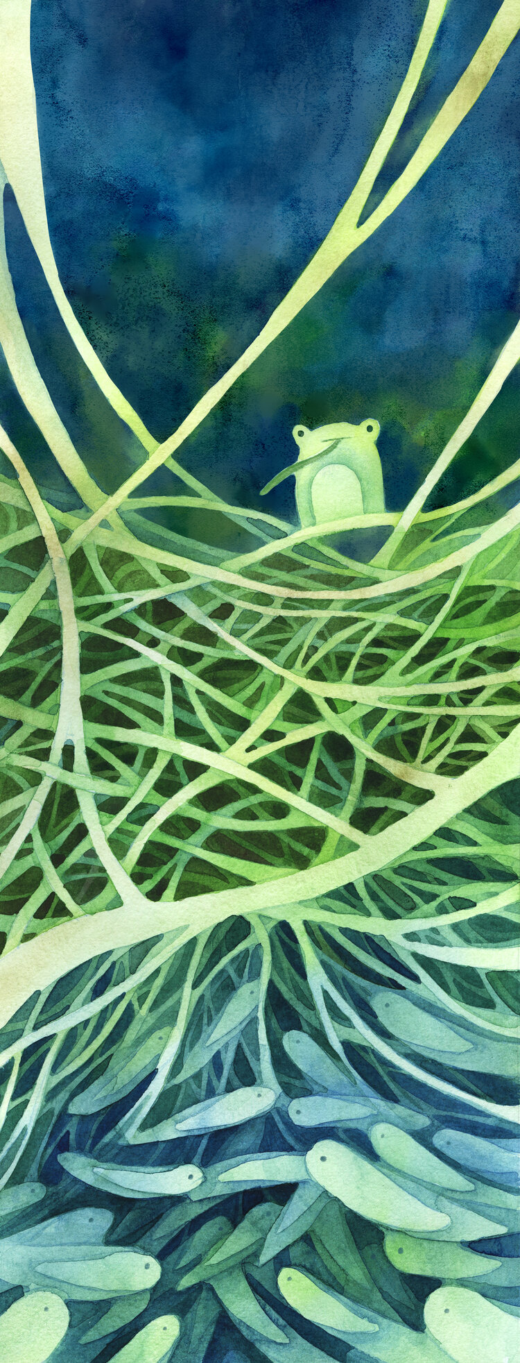 Wettest Place in the World: Mawsynram, India