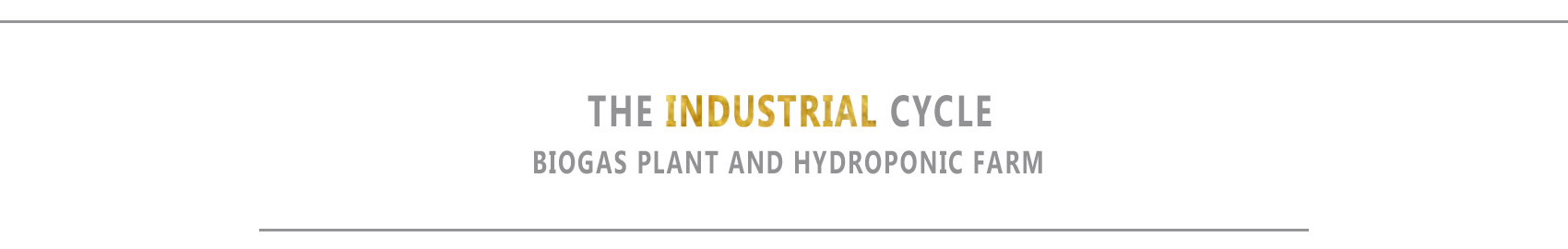 Thesis_Interwave: Industries and New Public Realm