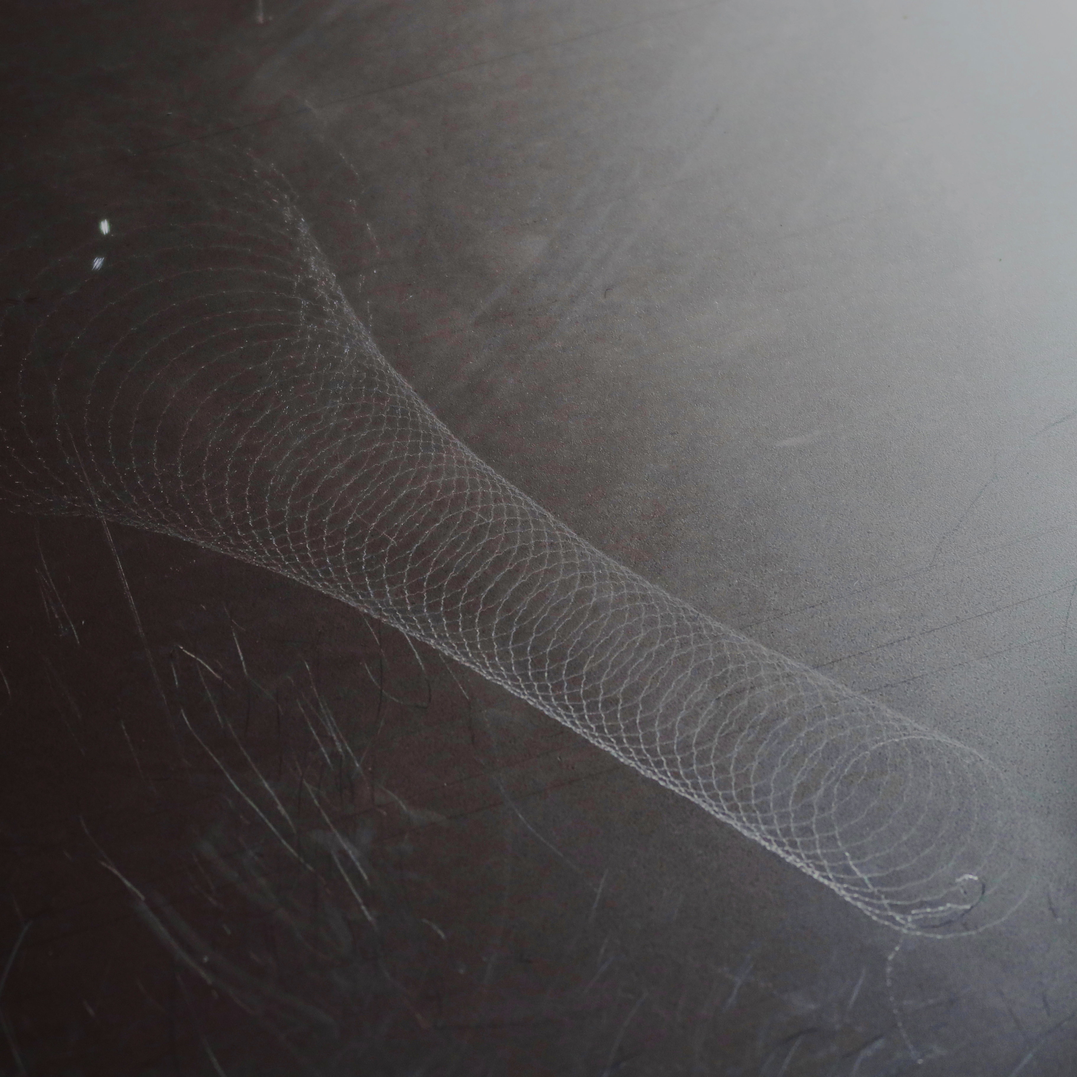 Spinning through Life - the Plate