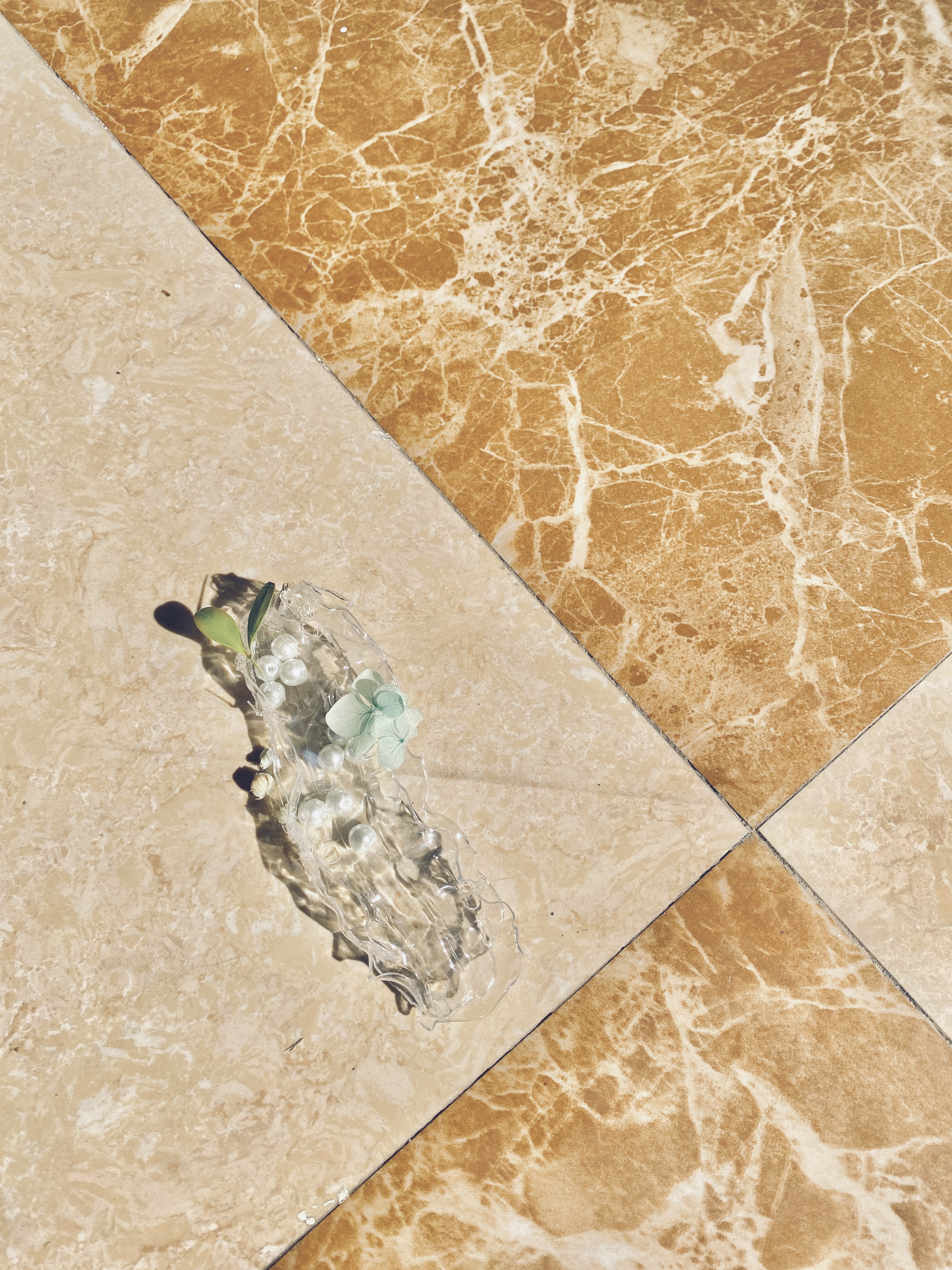 The Pearl in the Plastic