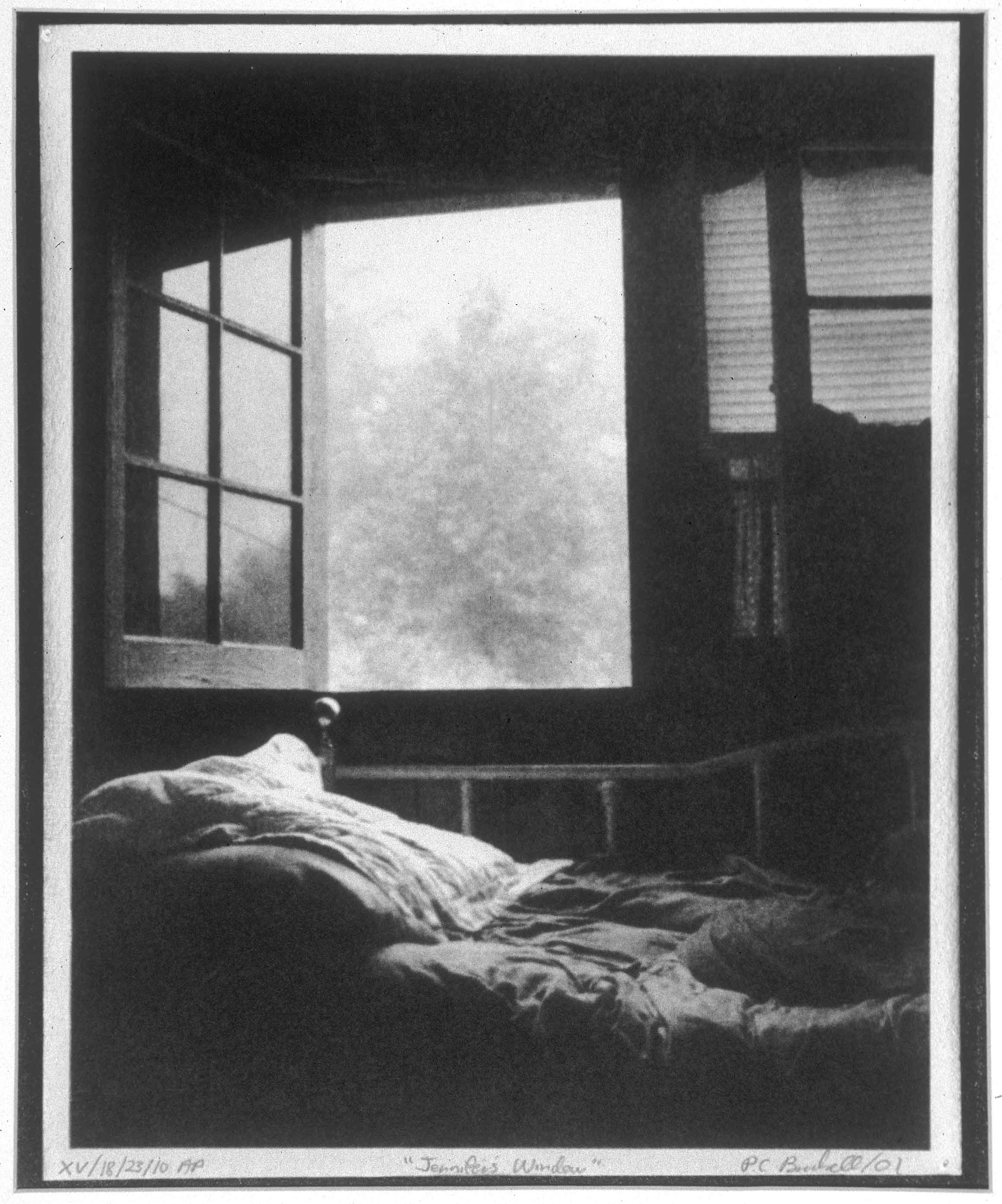 Jennifer's Window