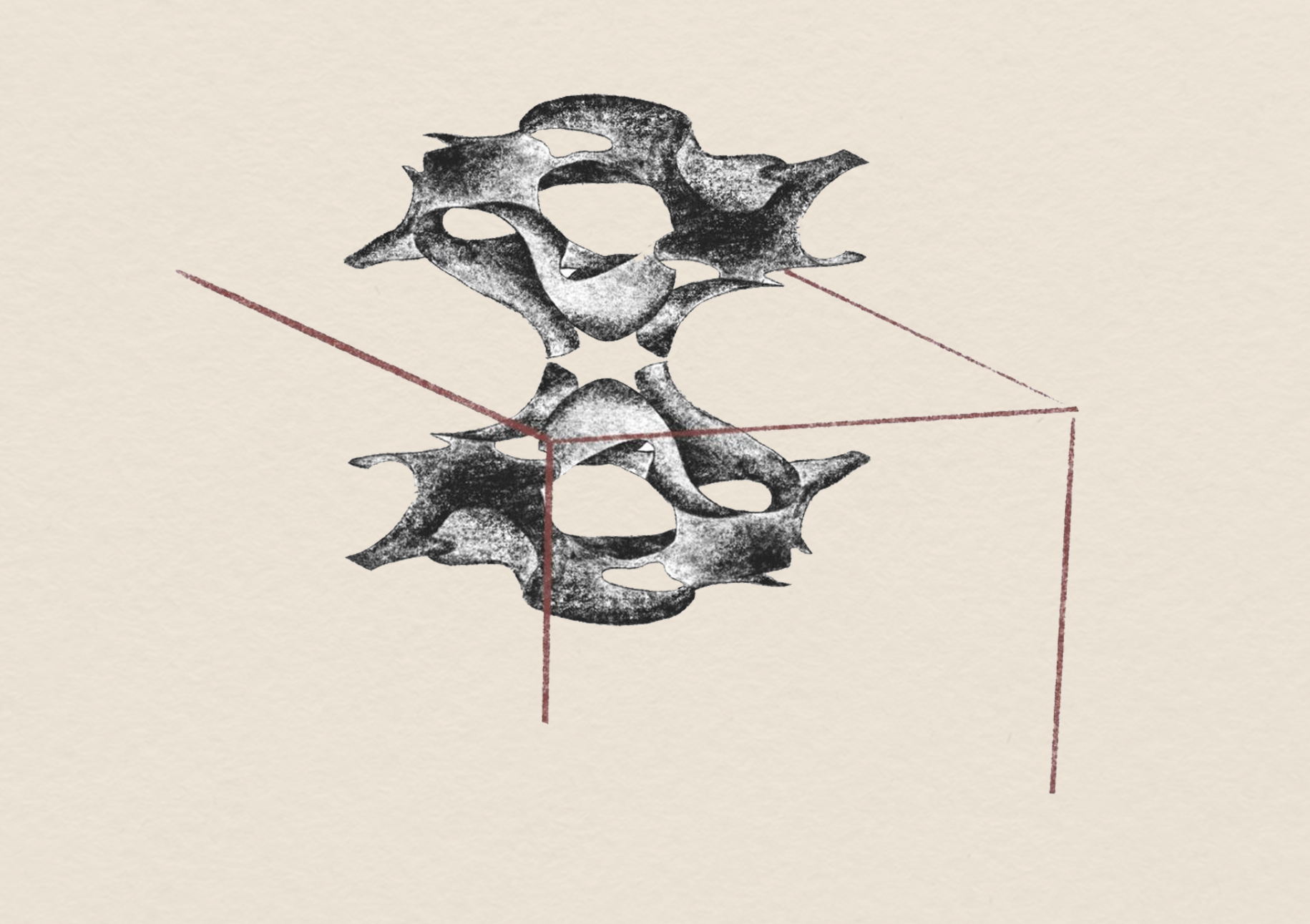 Collective Nest