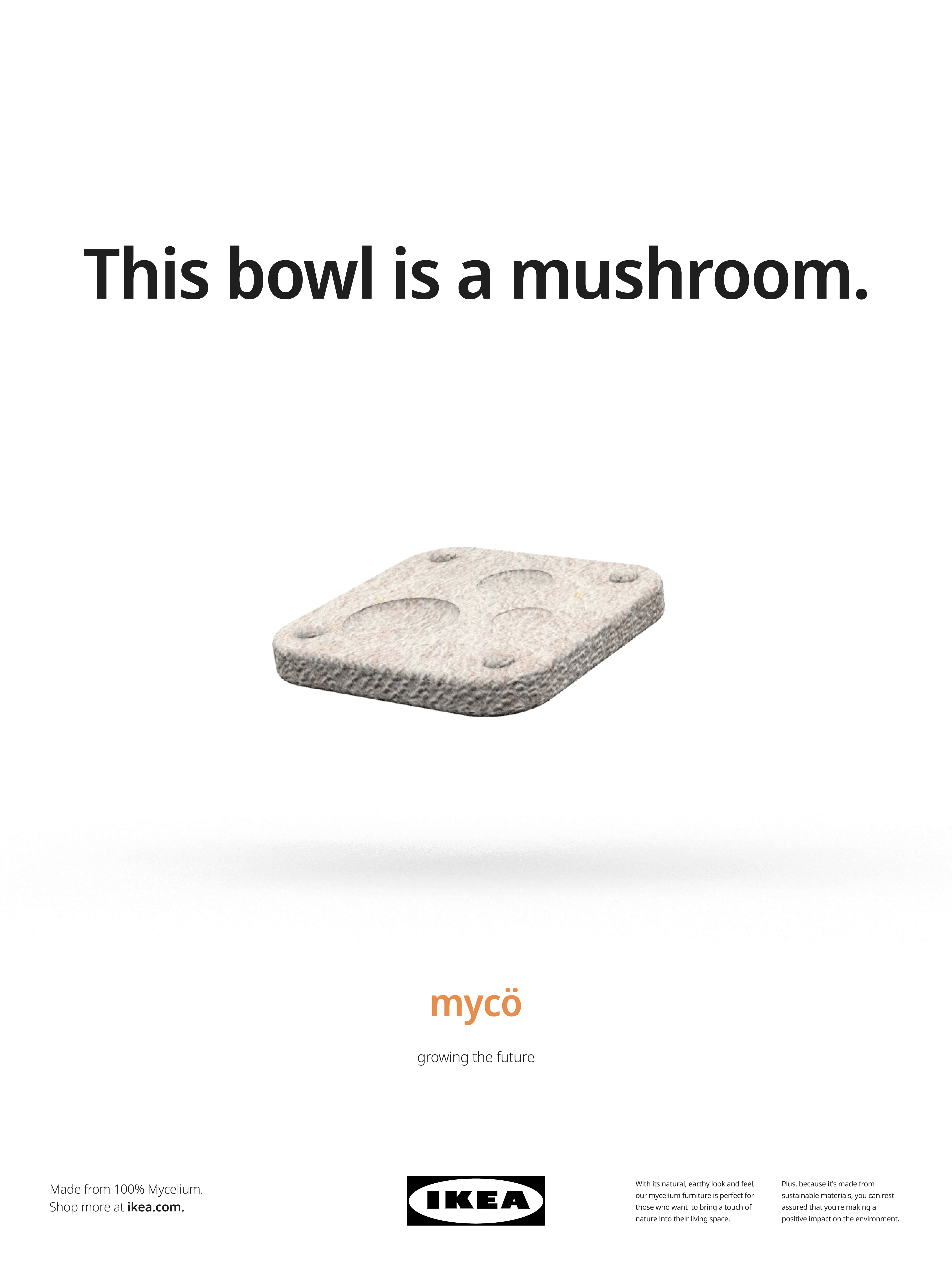 MYCÖ - Growing the Future