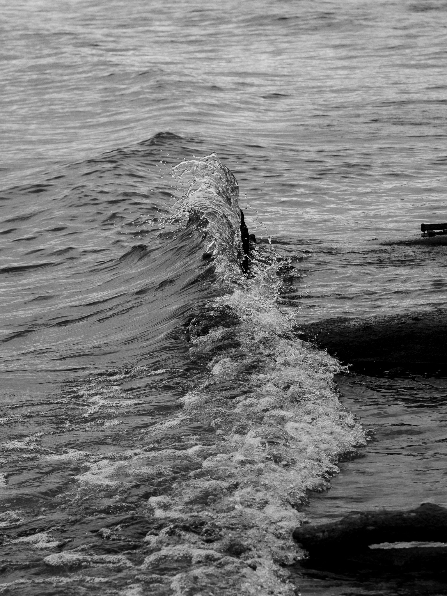Meet with Nobody on the Dune