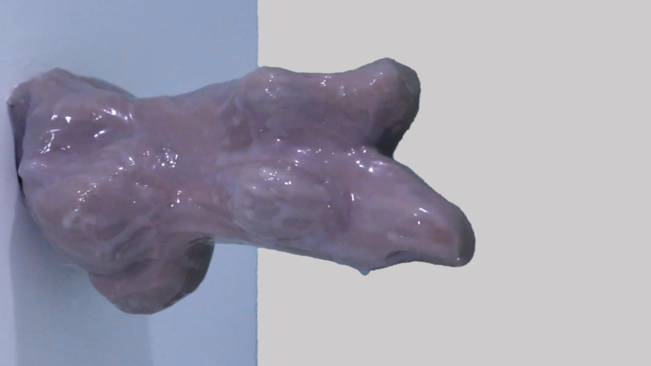 Documentation Images from "Any Part Can Be a Genesis" Installation & Art Objects