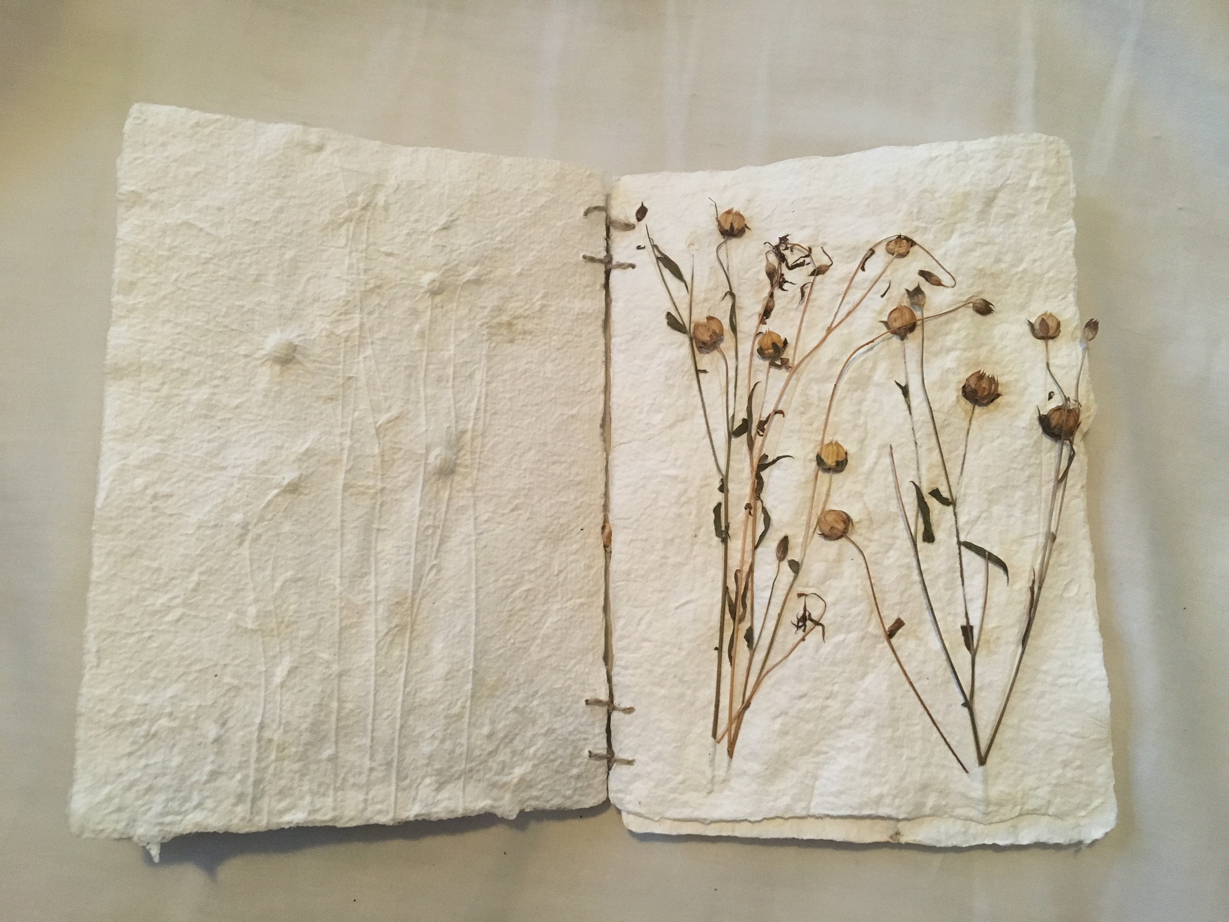 A Book From Seed and Soil