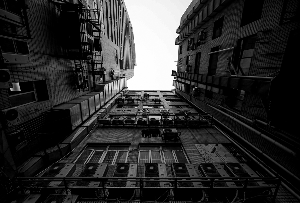 Live in Steel Forest