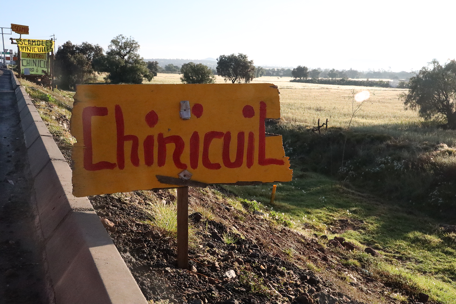 Arcos, Agua y Nopales 3