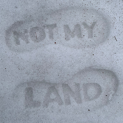 Not My Land