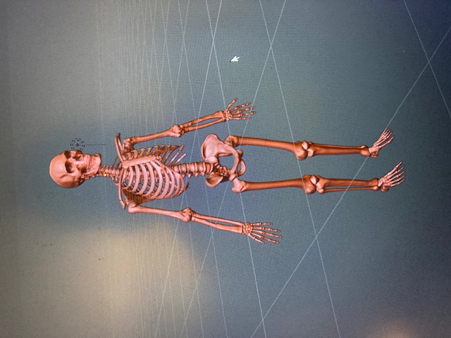 The Skeletal Anatomy of Tom Holland's Spiderman