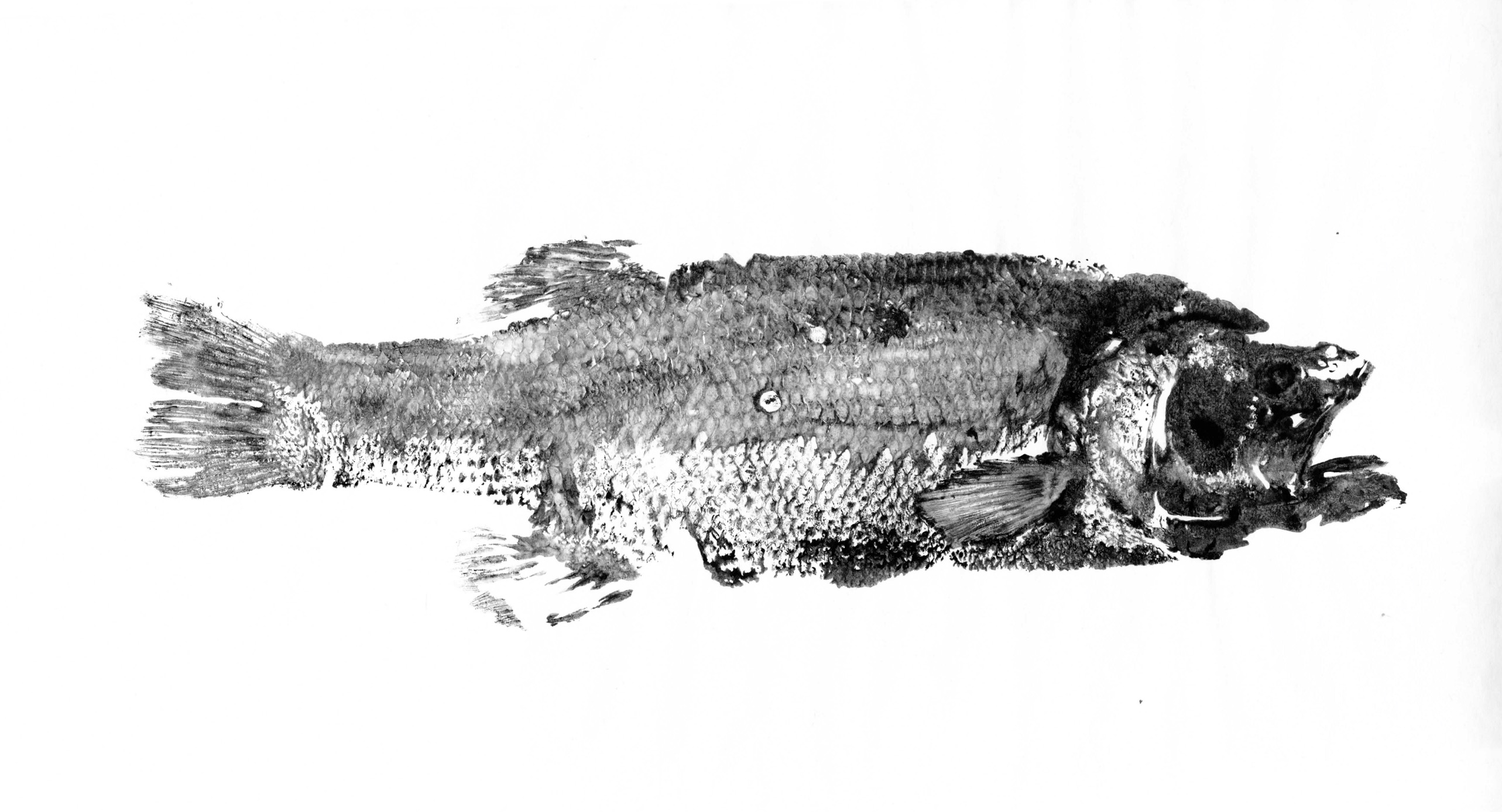 Fish Prints