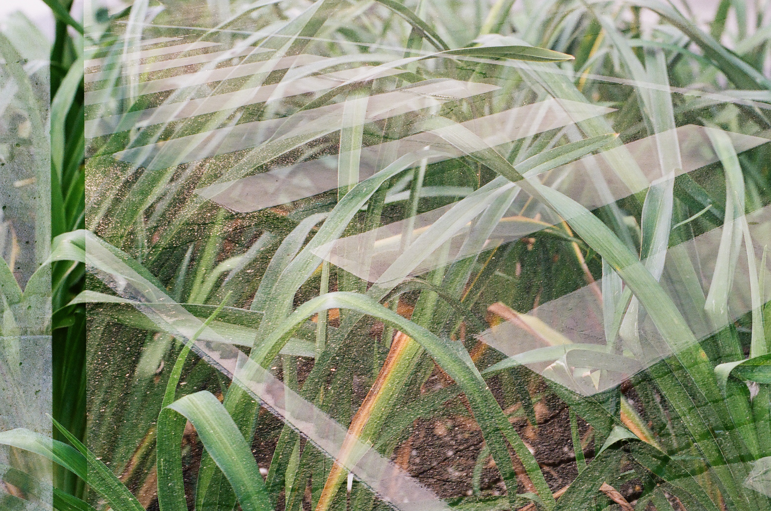 Connecting with Land