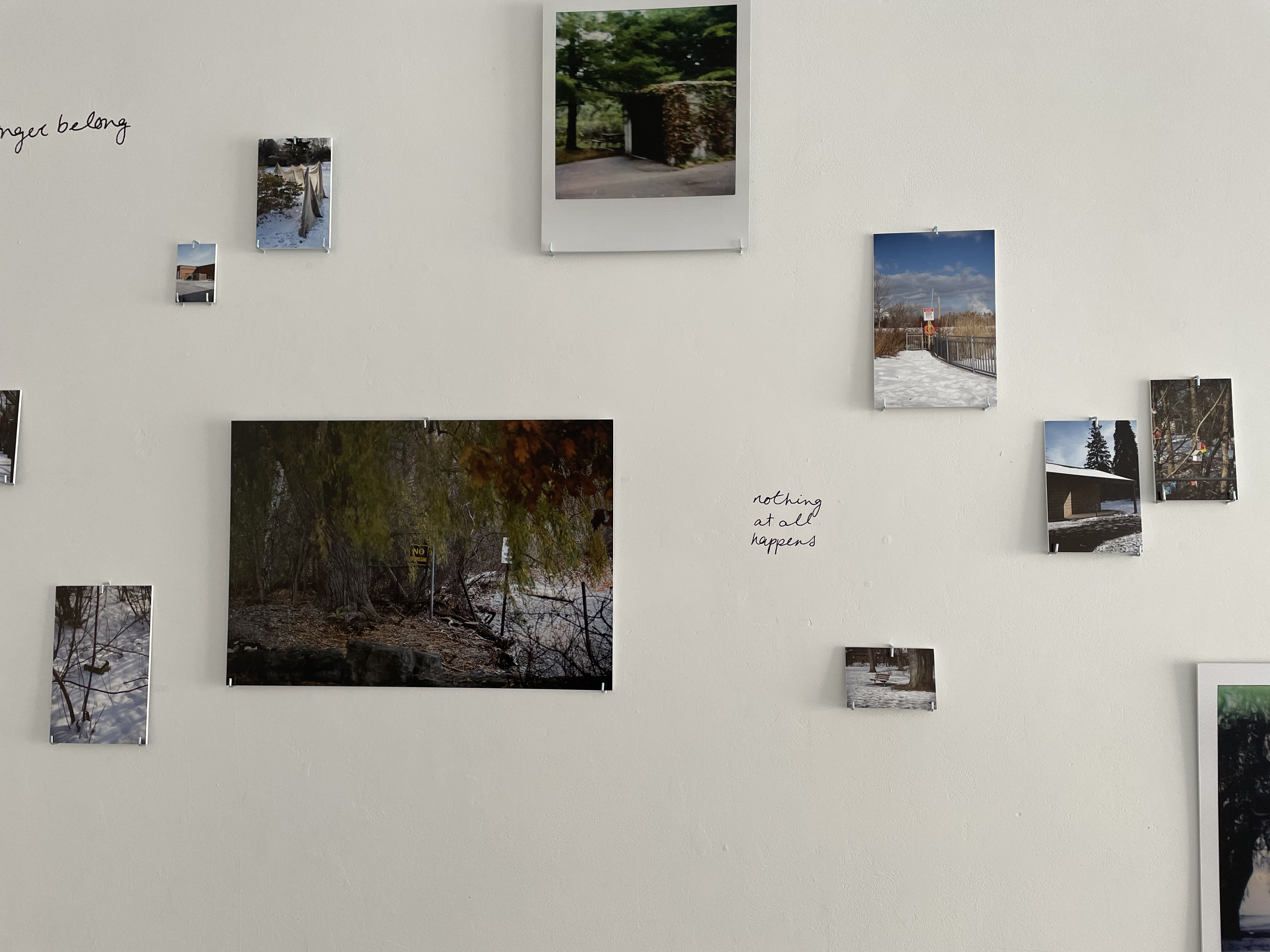 Where We Used to Walk - Installation