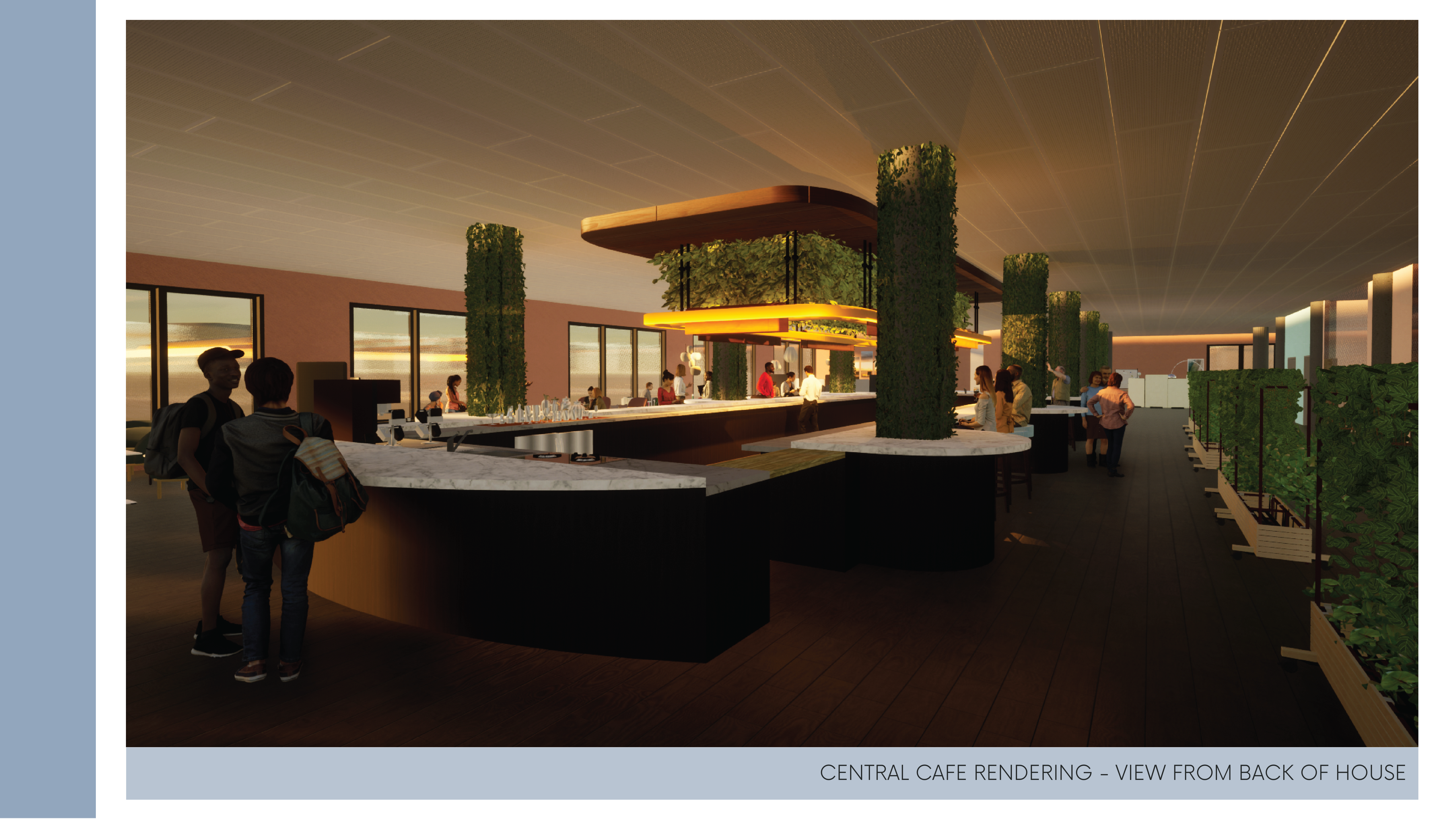 The Comfy Collective